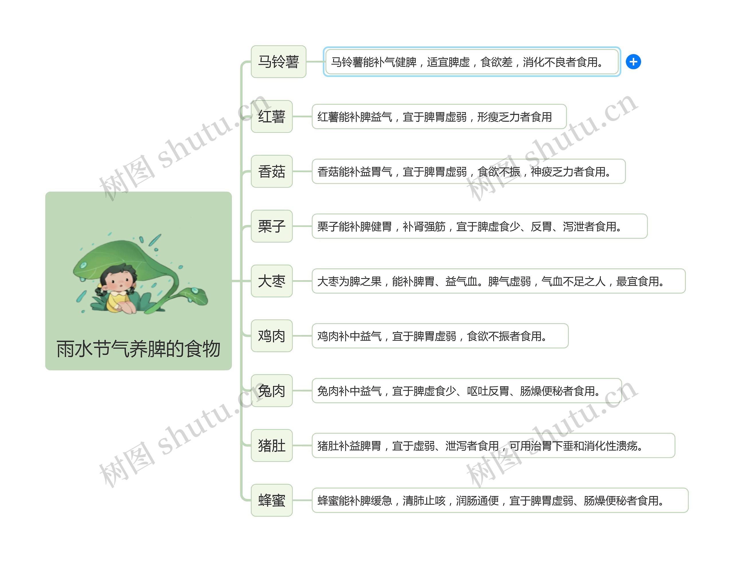 雨水节气养脾的食物思维导图