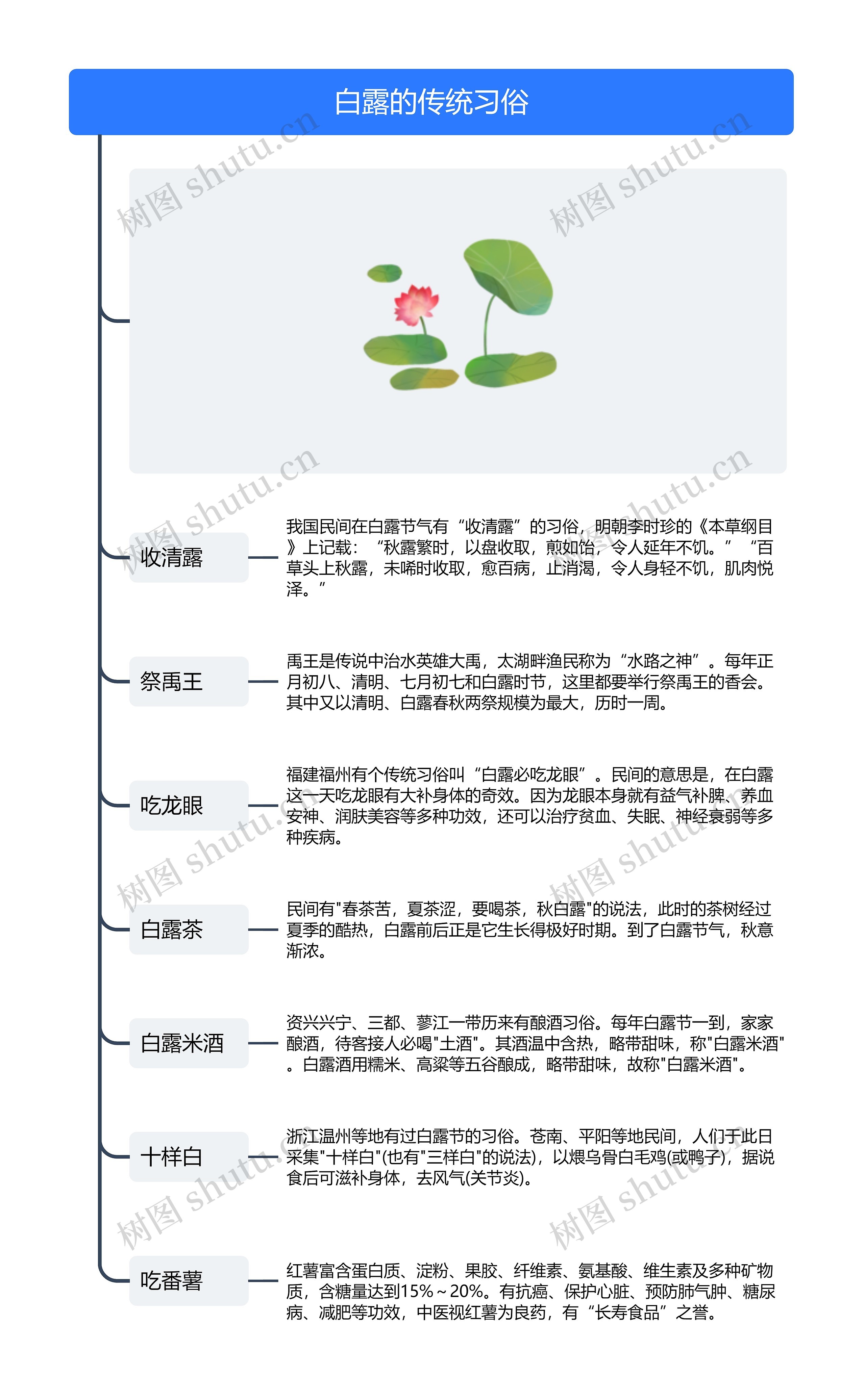 白露的传统习俗思维导图高清图 白露的传统习俗思维导图