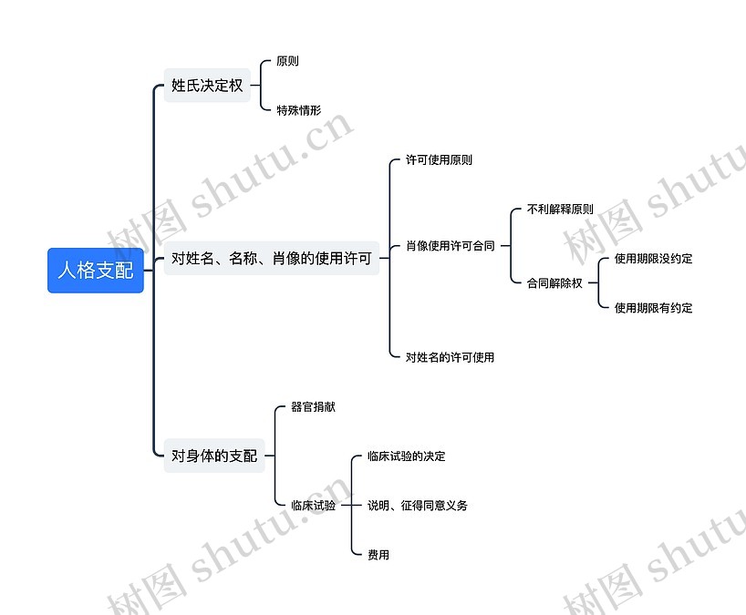 支配思维导图模板-TreeMind树图
