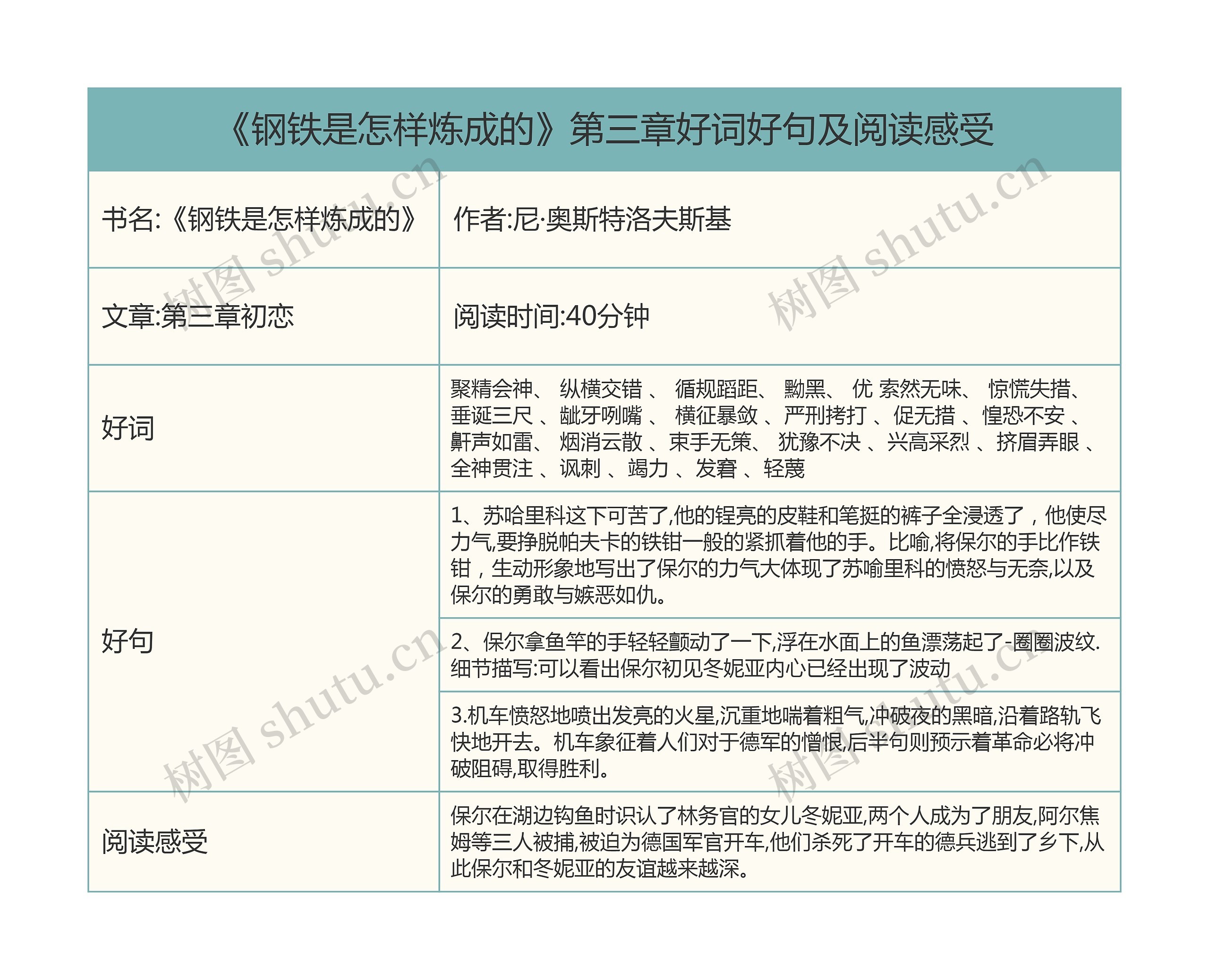 《钢铁是怎样炼成的》第三章好词好句及阅读感受
