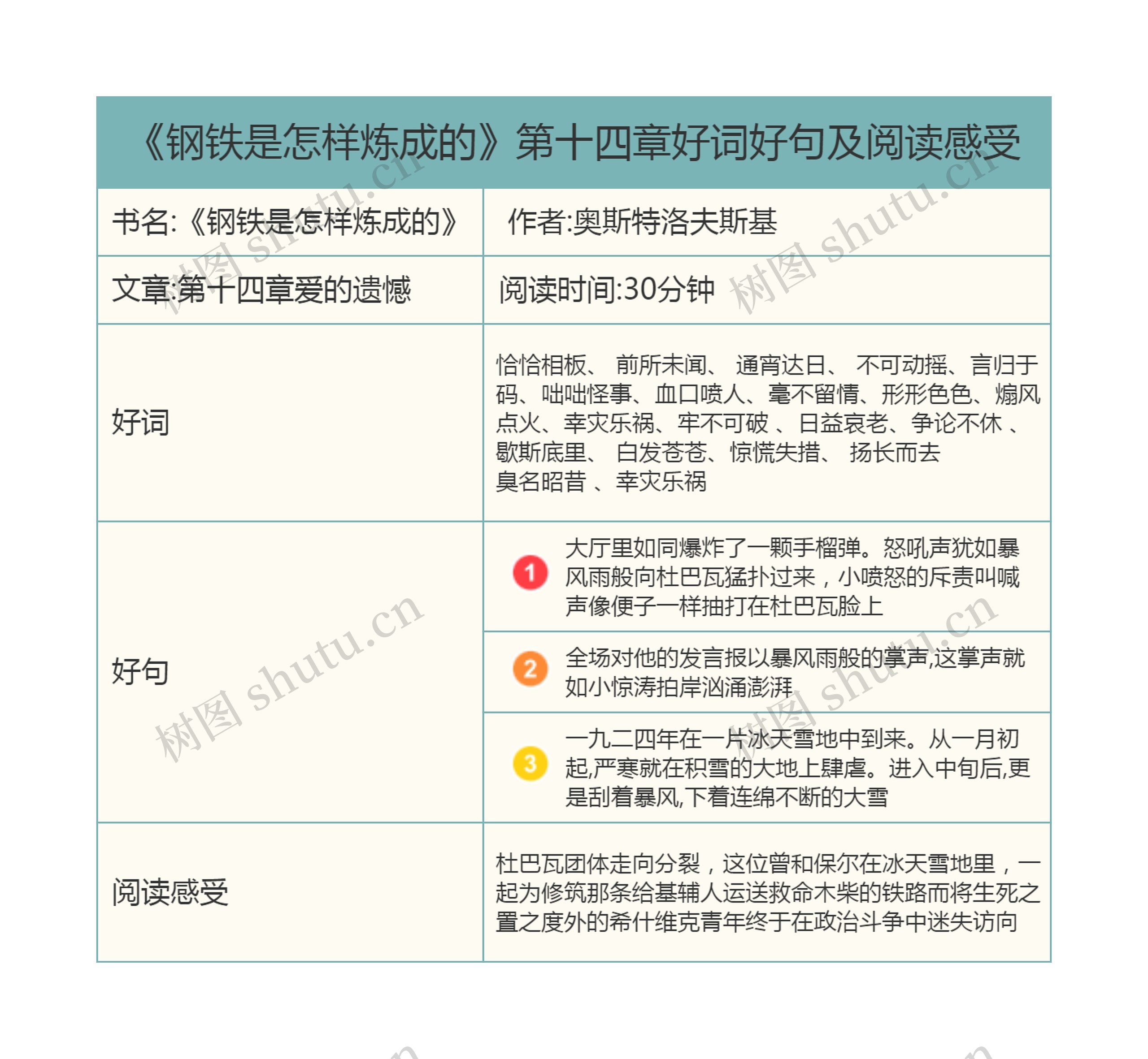 《钢铁是怎样炼成的》第十四章好词好句及阅读感受思维导图