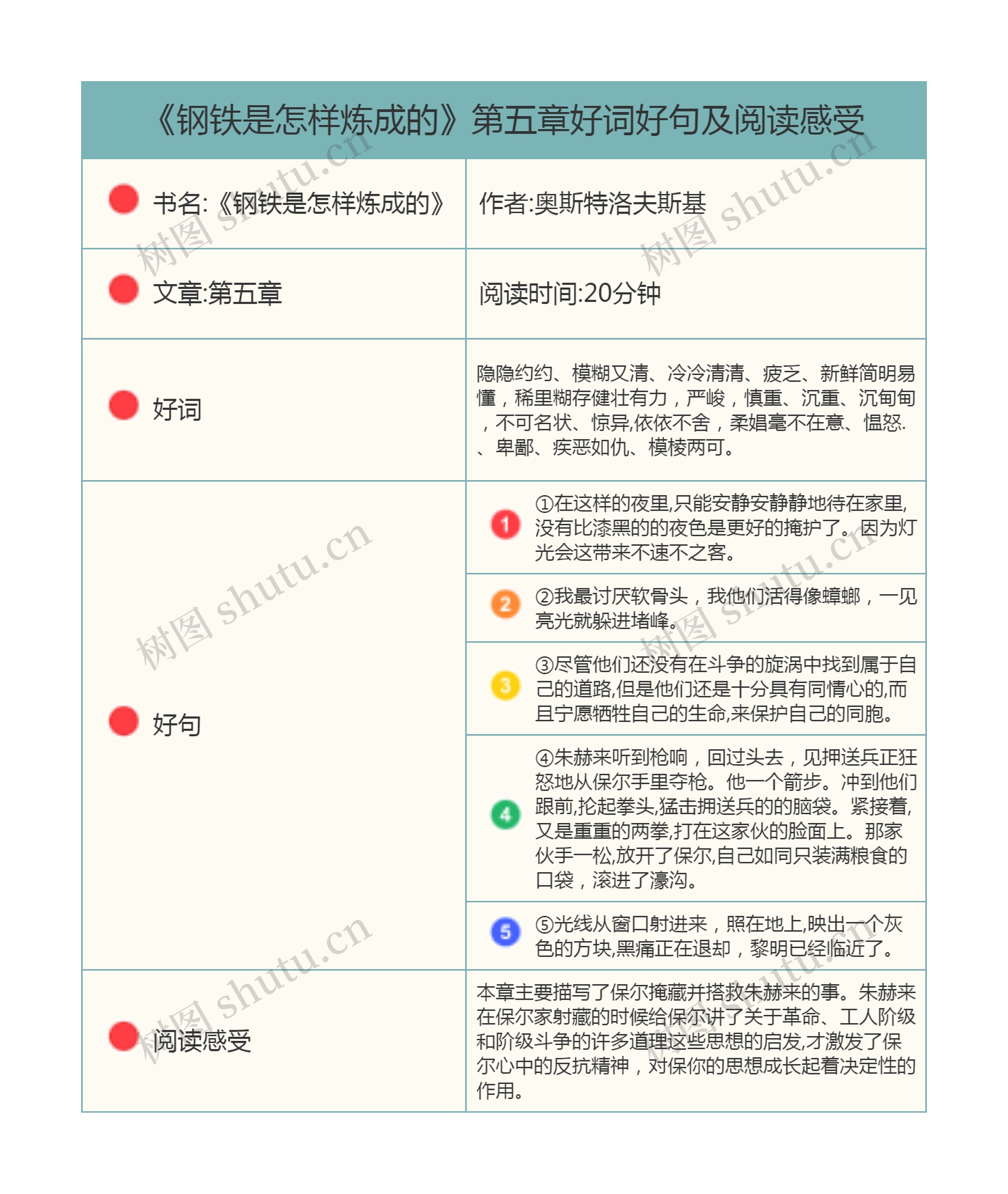 《钢铁是怎样炼成的》第五章好词好句及阅读感受思维导图