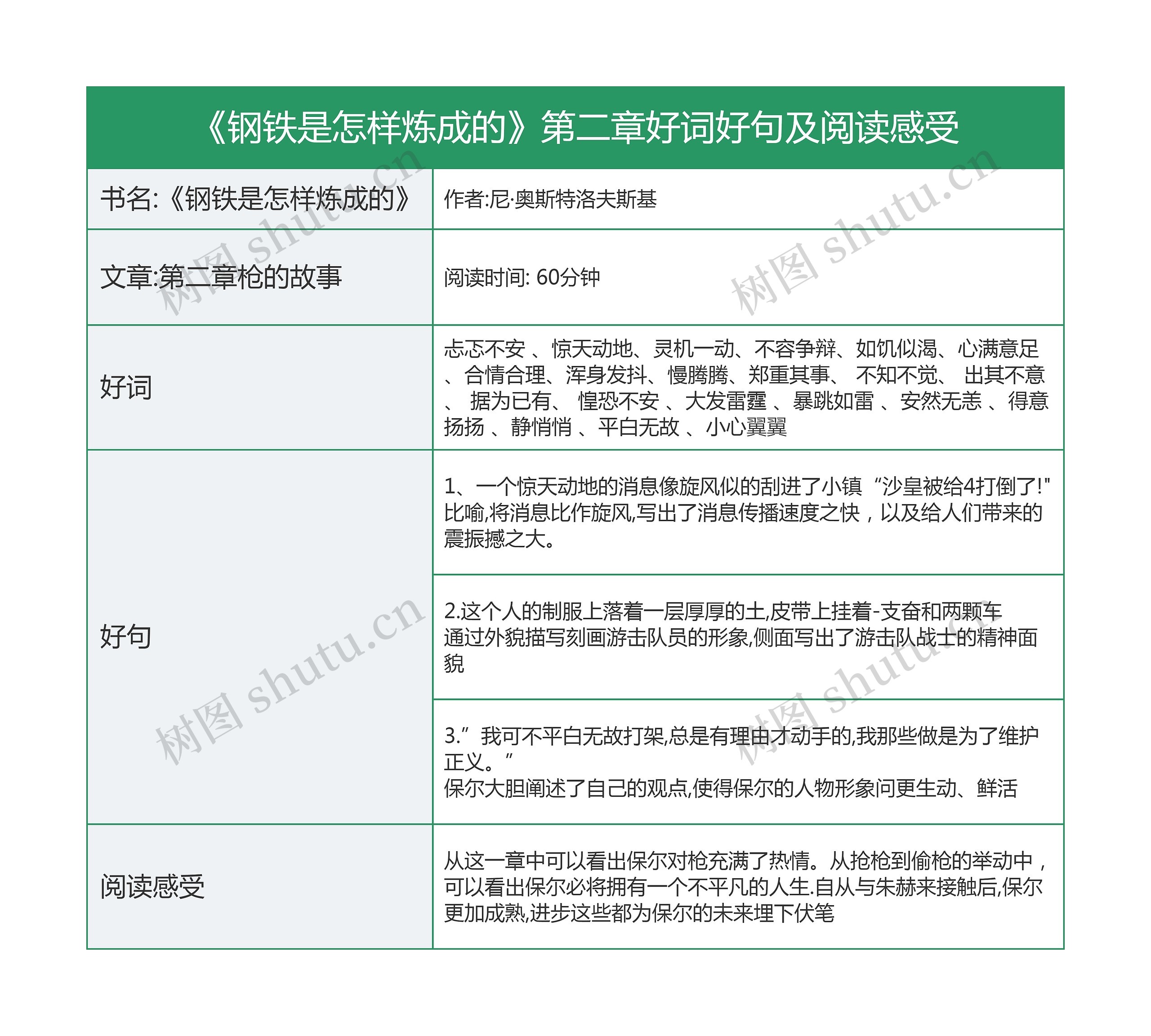 《钢铁是怎样炼成的》第二章好词好句及阅读感受思维导图