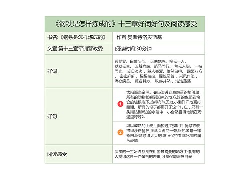 《钢铁是怎样炼成的》第十三章好词好句及阅读感受