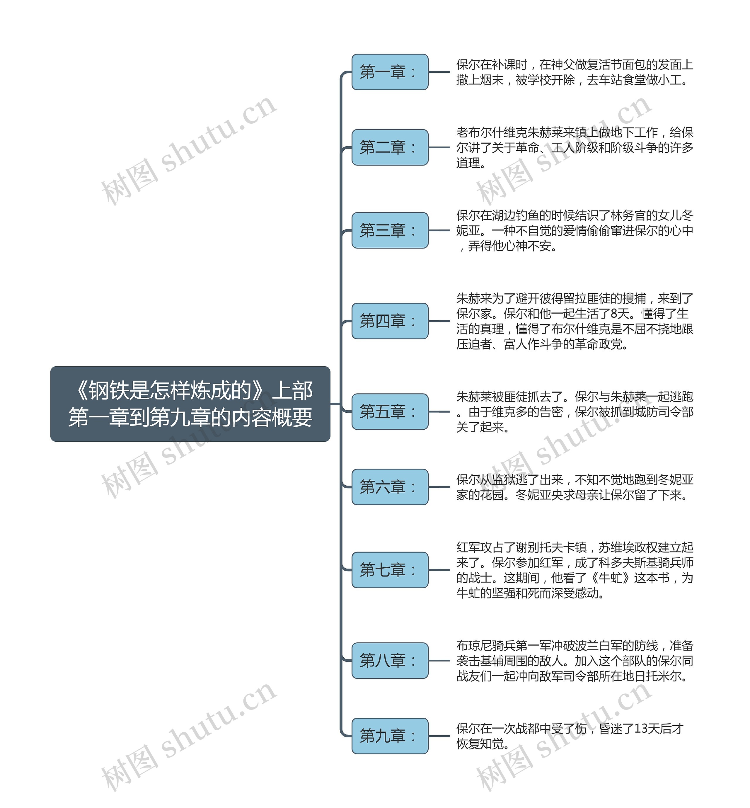 《钢铁是怎样炼成的》上部第一章到第九章的内容概要逻辑图