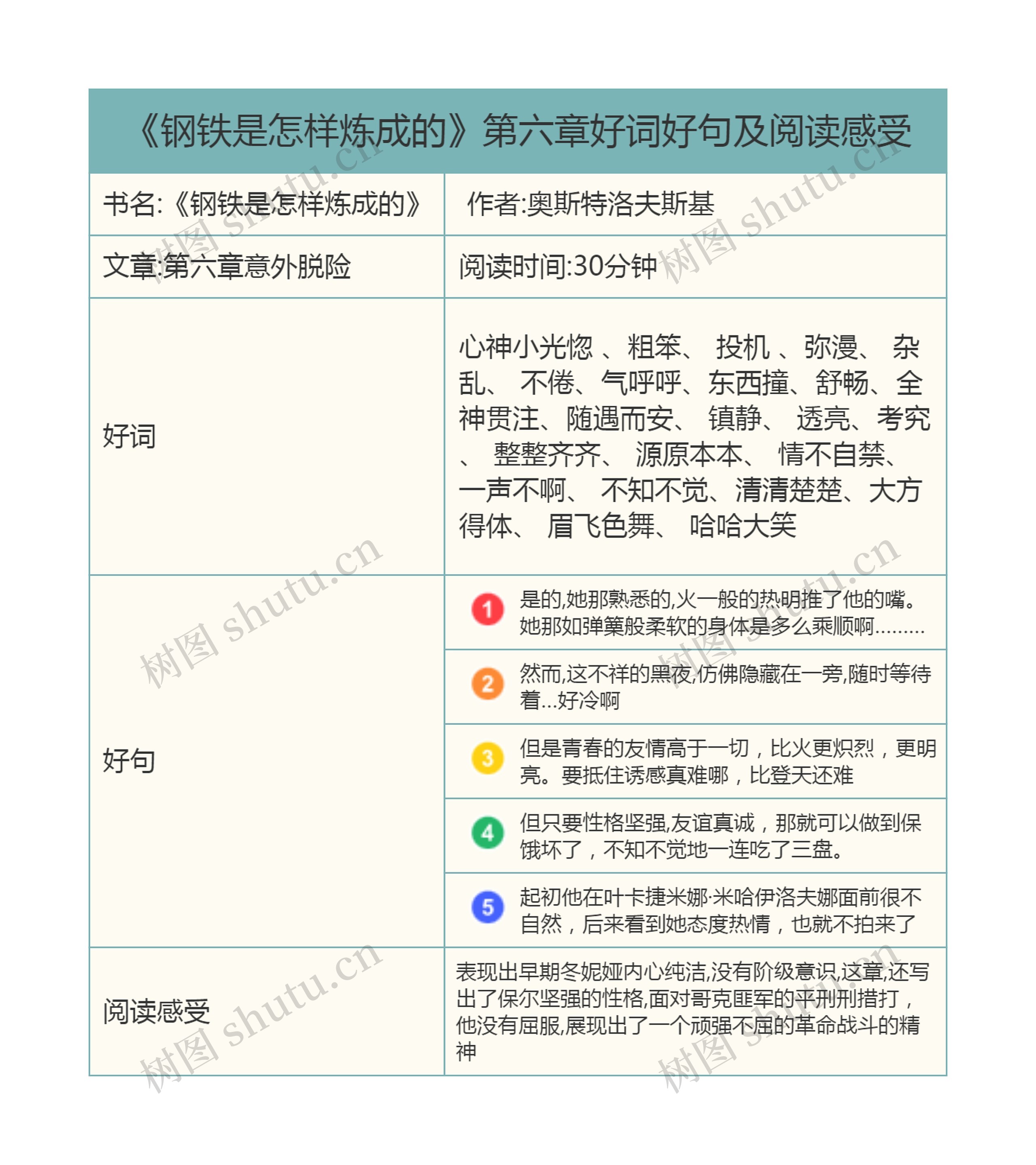 《钢铁是怎样炼成的》第六章好词好句及阅读感受思维导图