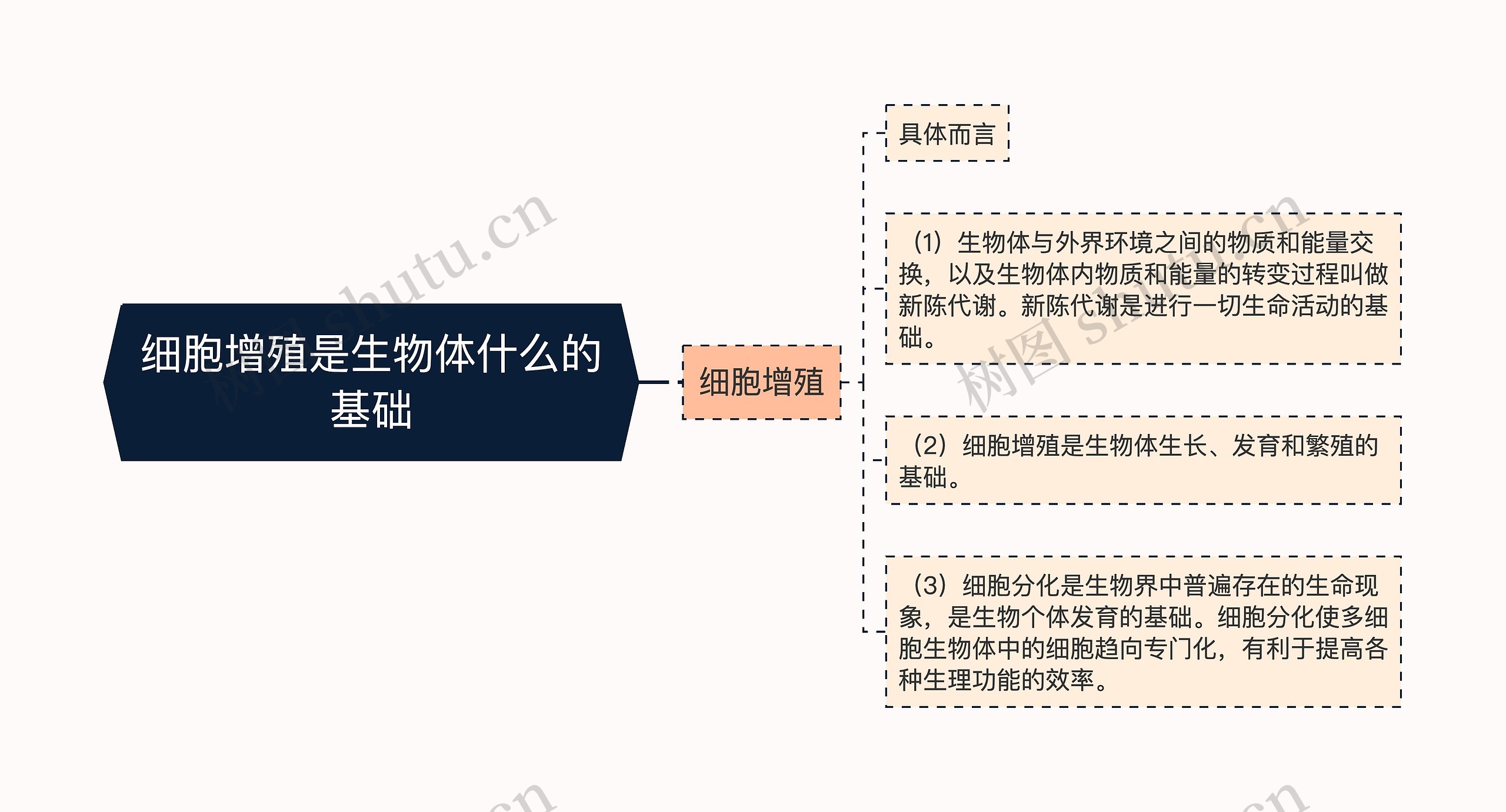 细胞增殖是生物体什么的基础