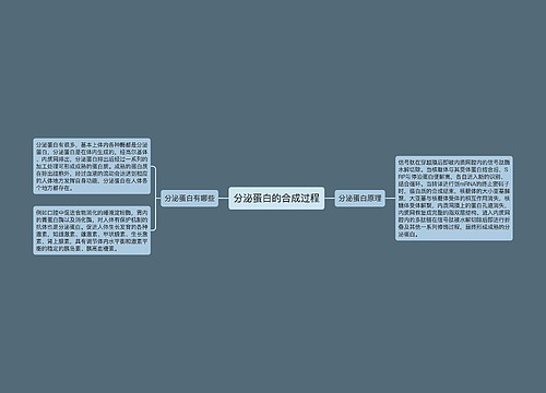 分泌蛋白的合成过程