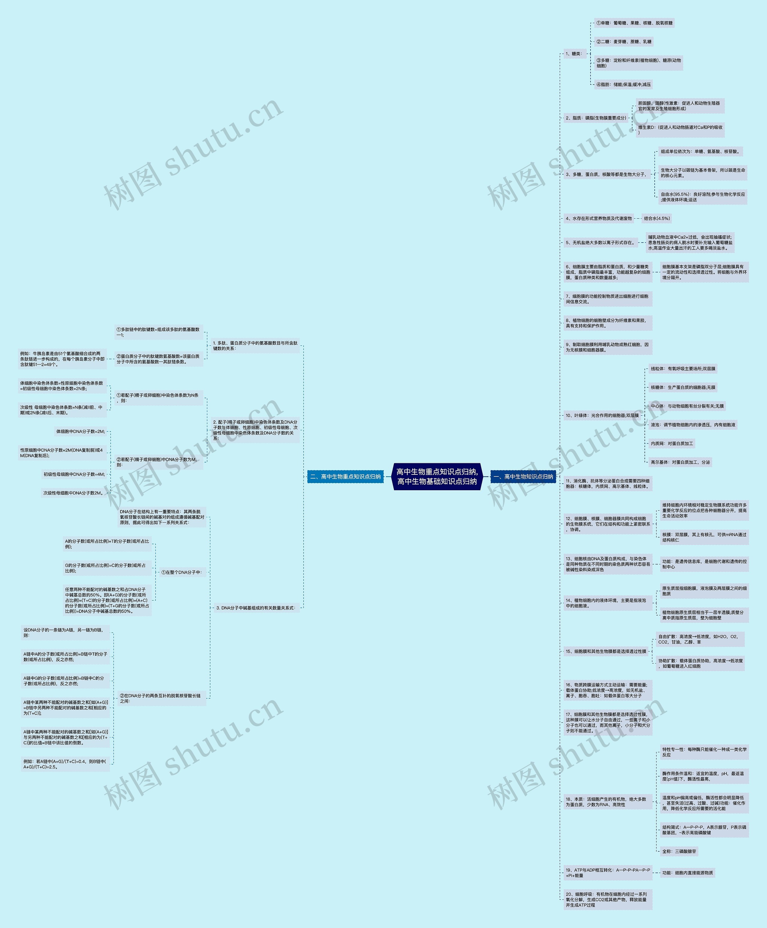 高中生物重点知识点归纳,高中生物基础知识点归纳
