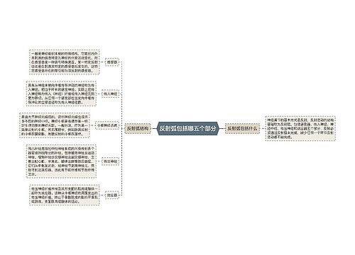 反射弧包括哪五个部分