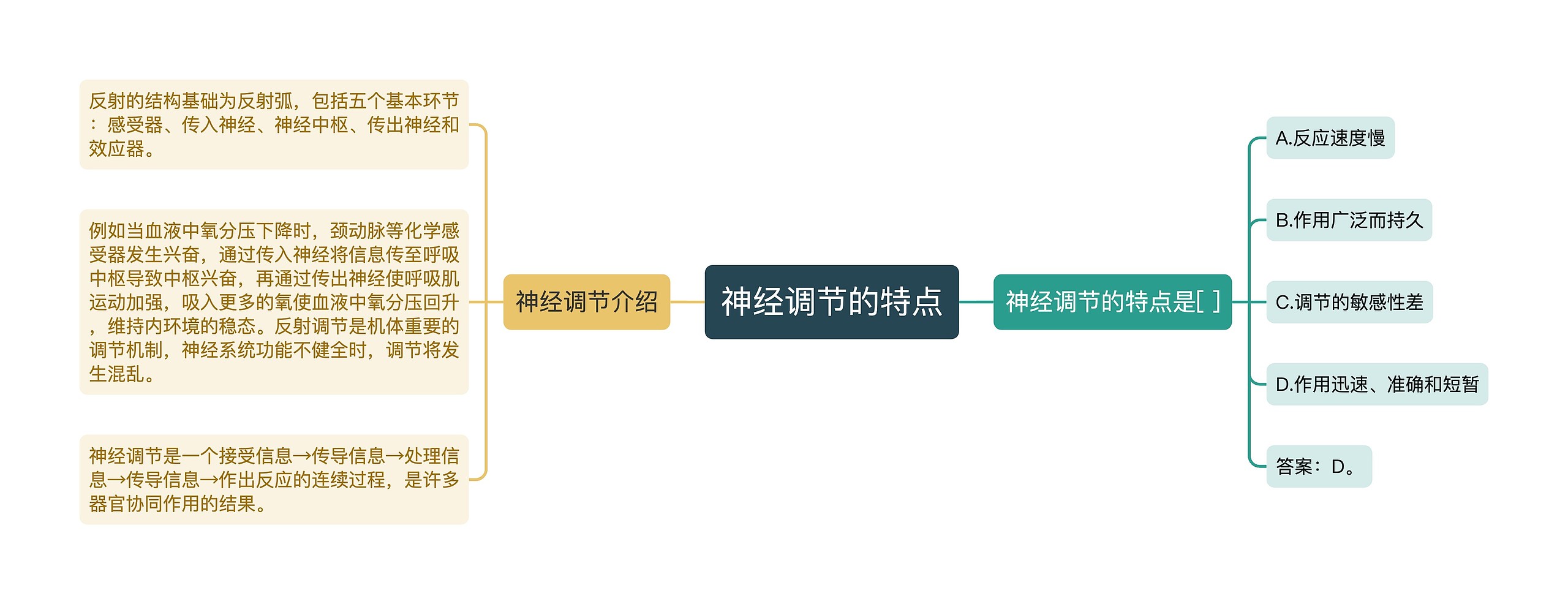 神经调节的特点