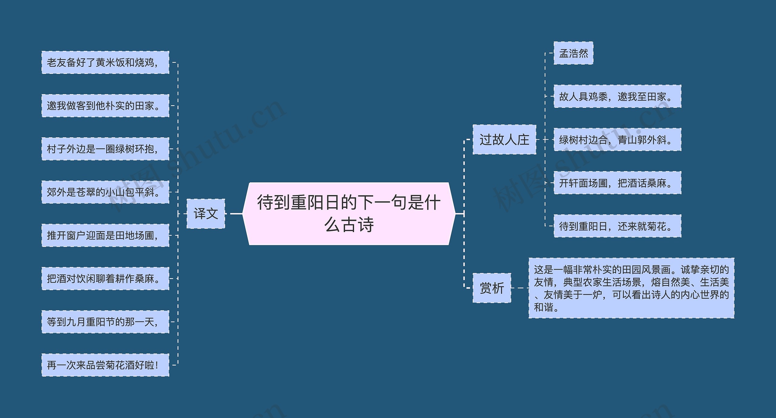 待到重阳日的下一句是什么古诗思维导图