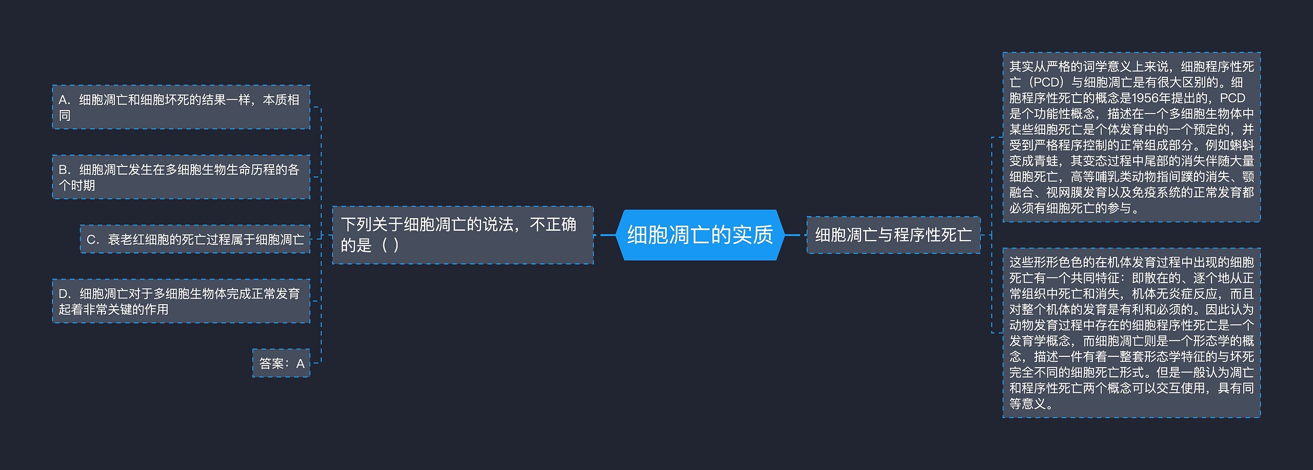 细胞凋亡的实质