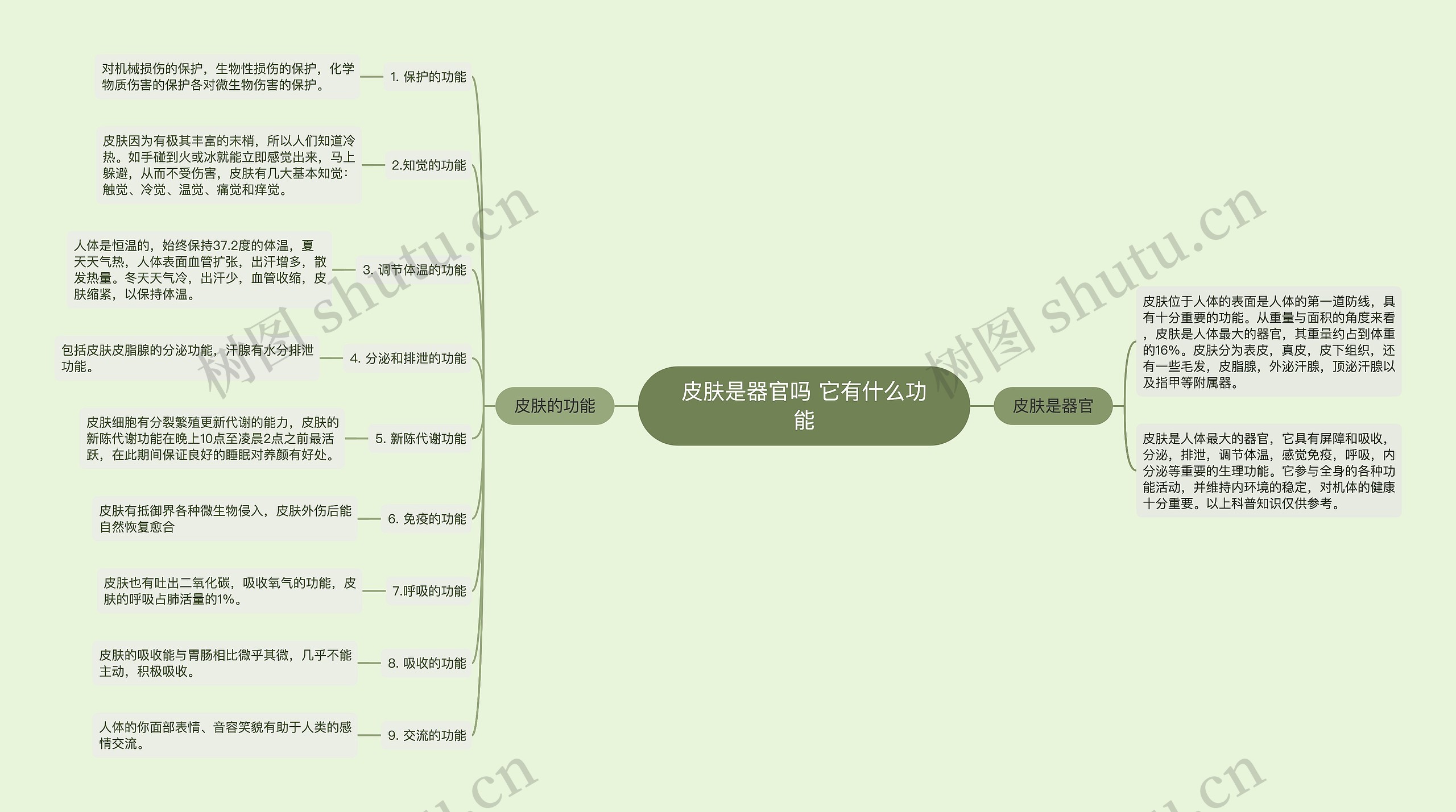 皮肤是器官吗 它有什么功能