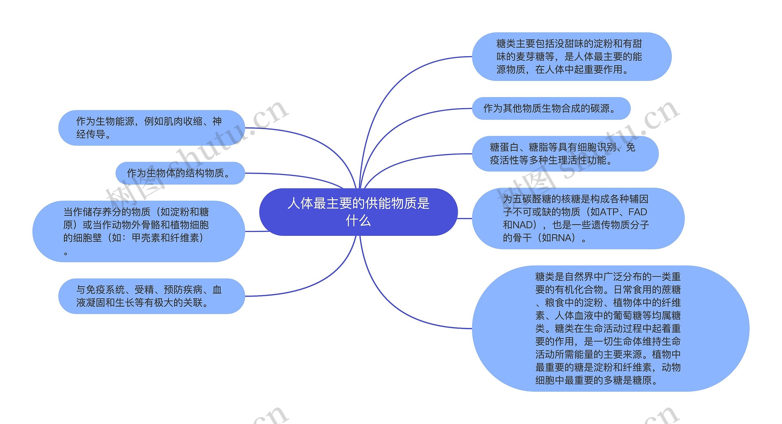 人体最主要的供能物质是什么思维导图