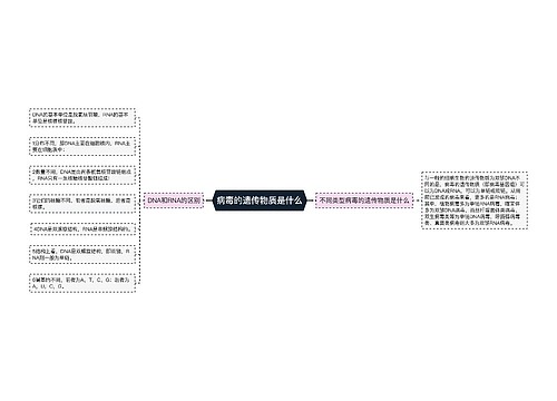 病毒的遗传物质是什么