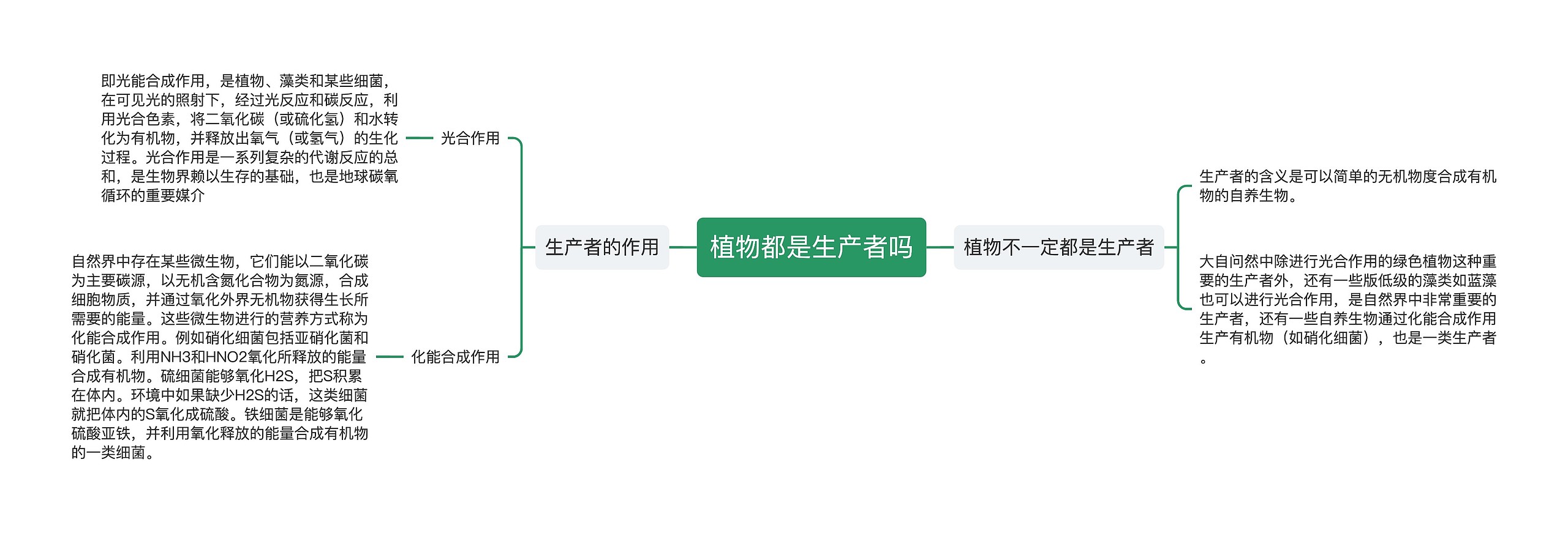 植物都是生产者吗思维导图