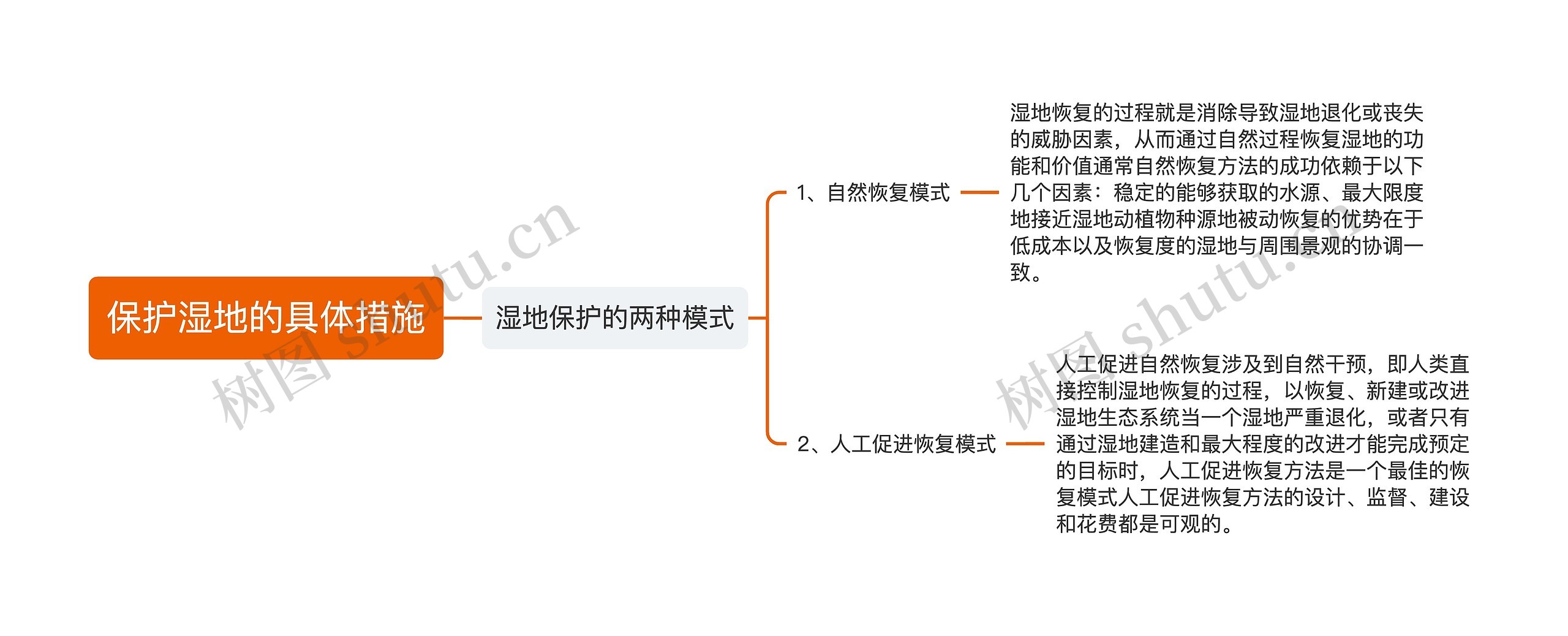 保护湿地的具体措施思维导图