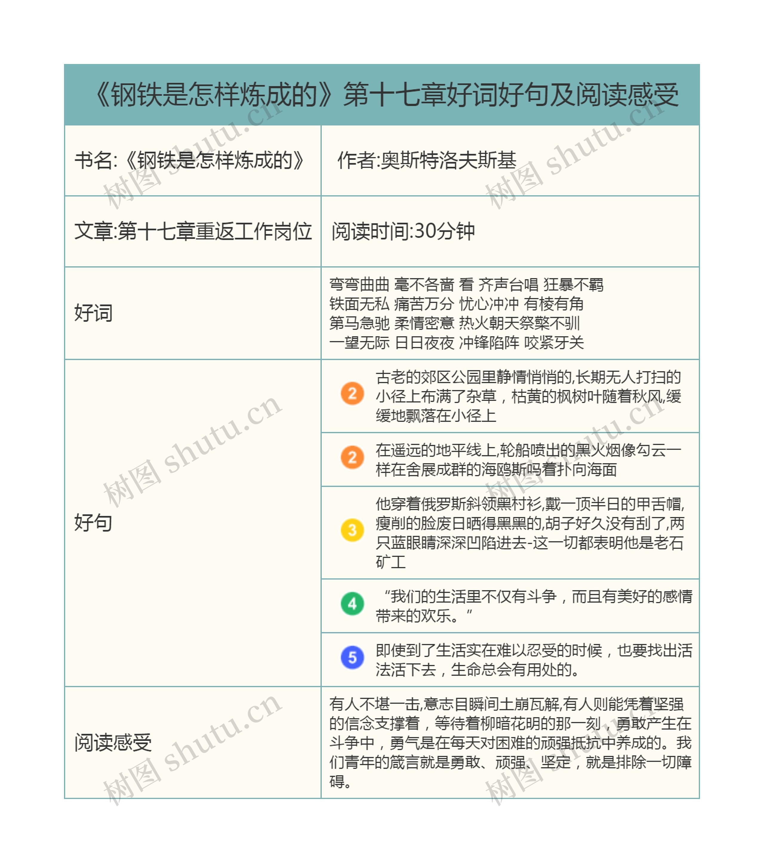 《钢铁是怎样炼成的》第十七章好词好句及阅读感受