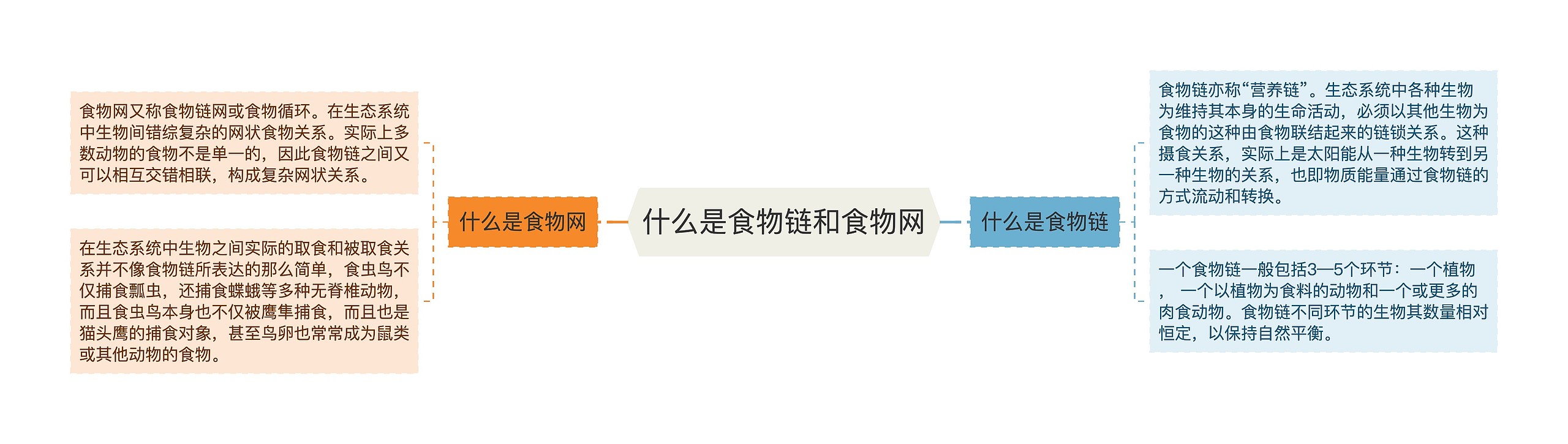 什么是食物链和食物网