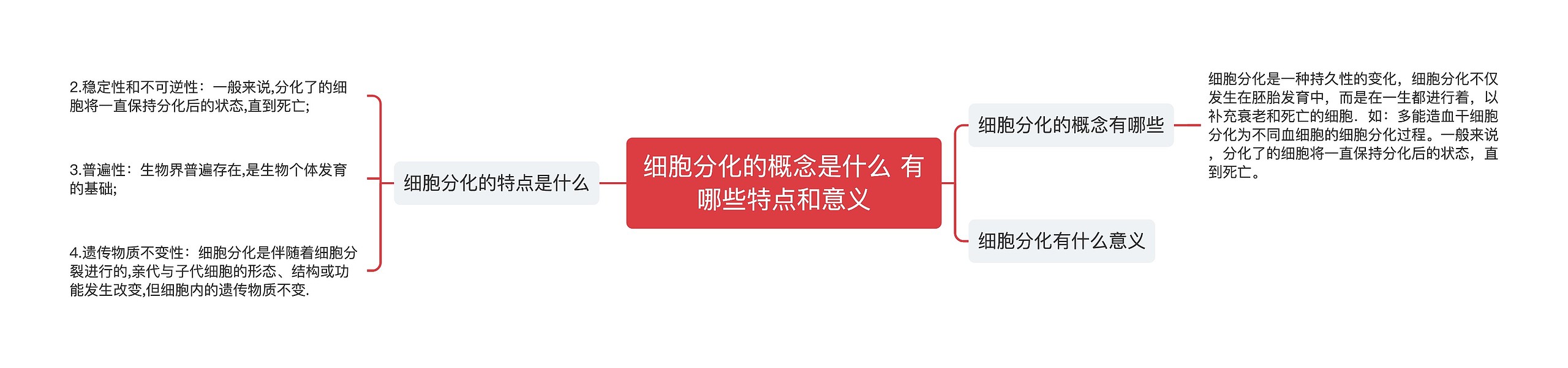 细胞分化的概念是什么 有哪些特点和意义
