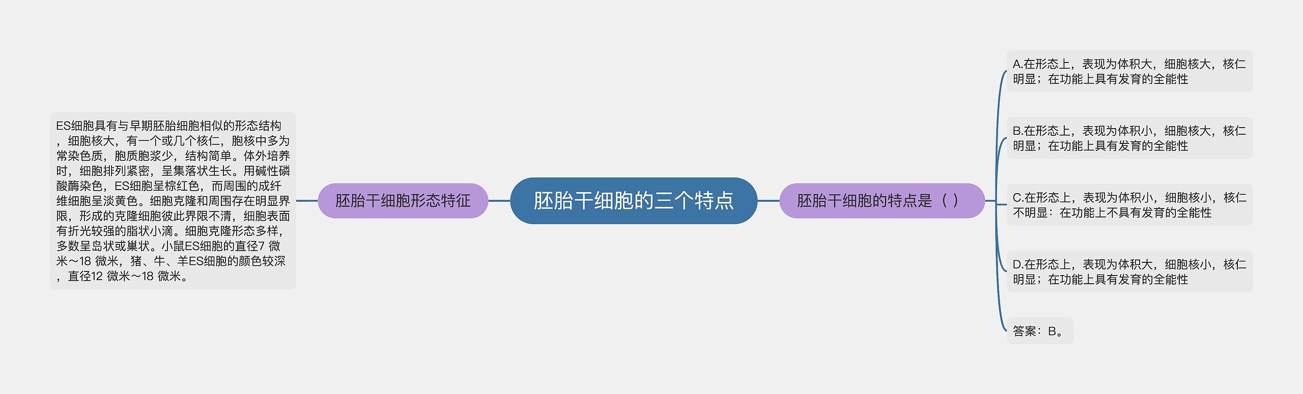 胚胎干细胞的三个特点