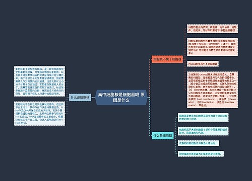 高中细胞核是细胞器吗 原因是什么