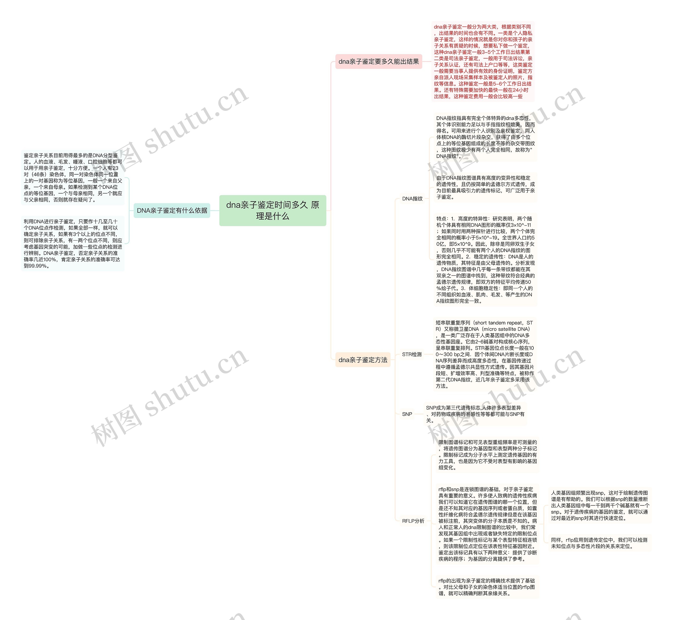 dna亲子鉴定时间多久 原理是什么思维导图