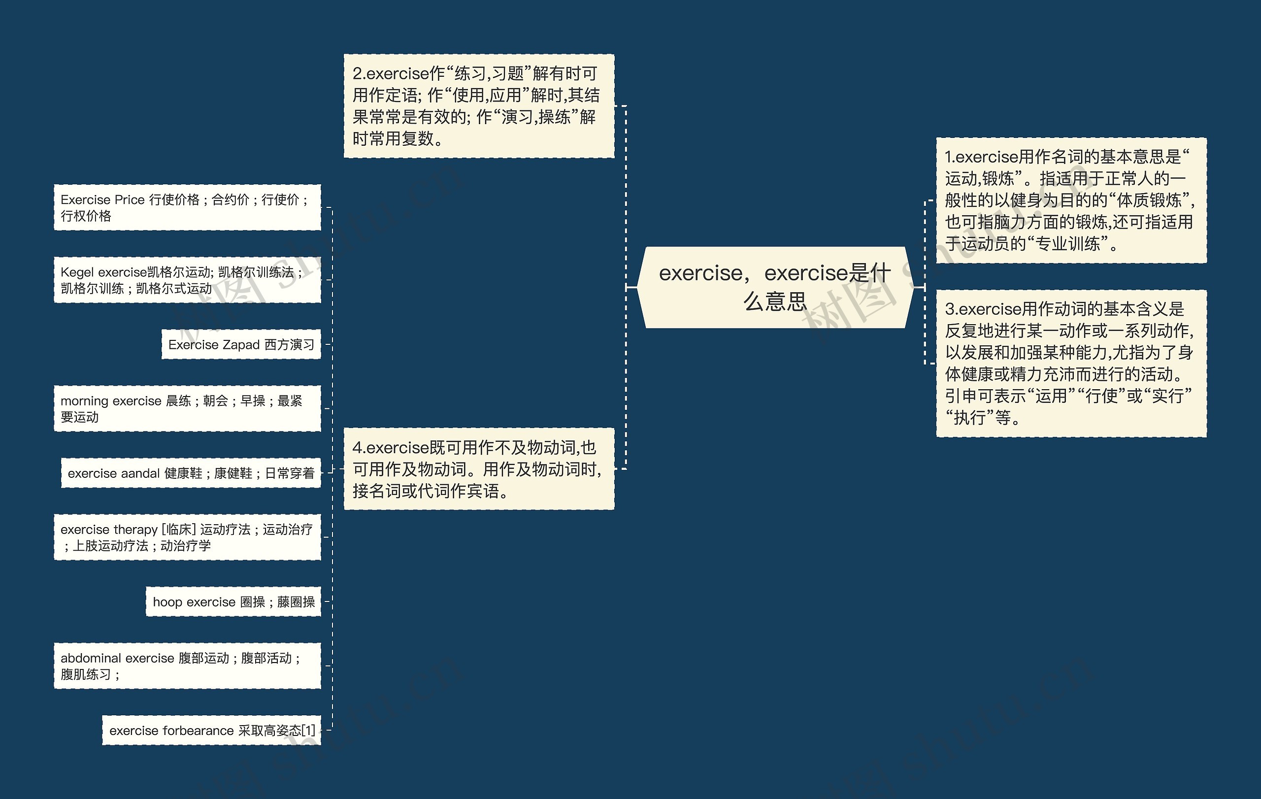 exercise，exercise是什么意思思维导图