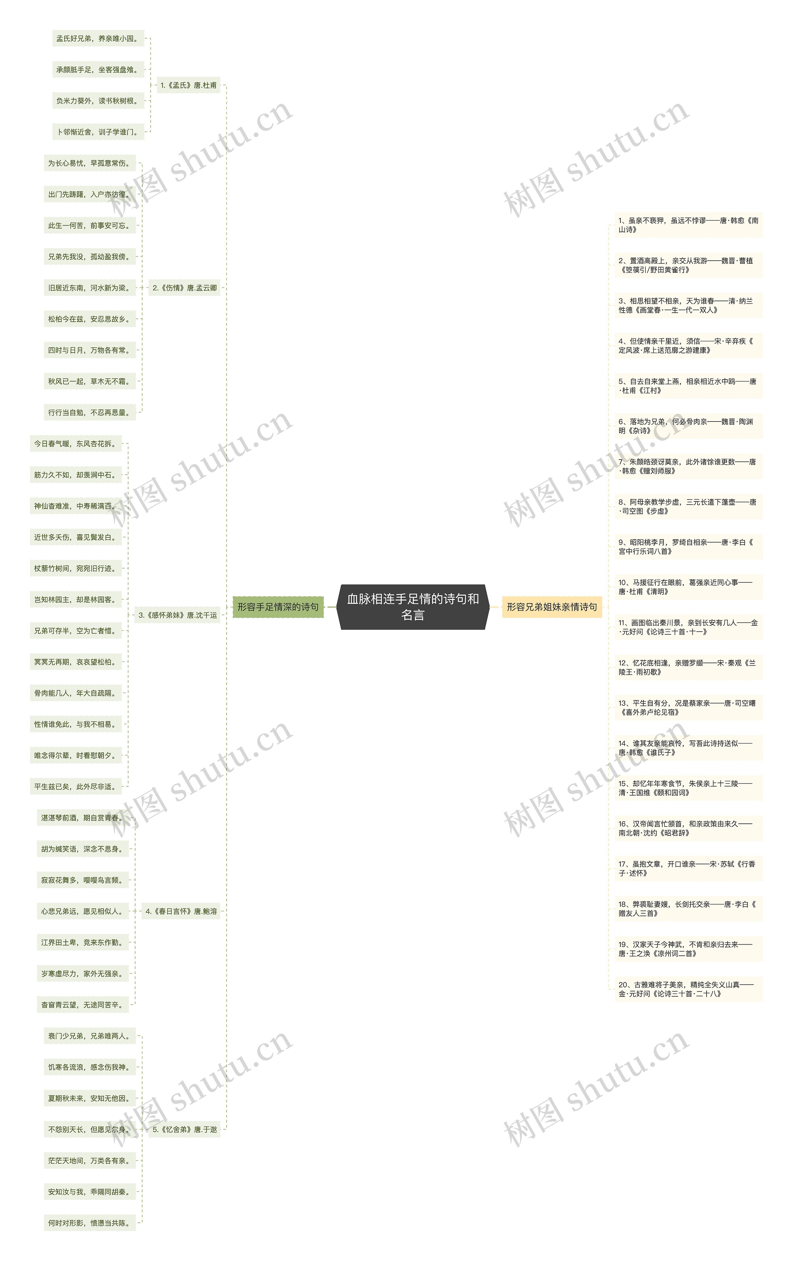 血脉相连手足情的诗句和名言思维导图