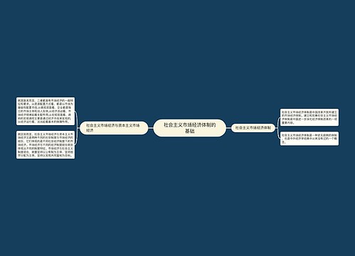 社会主义市场经济体制的基础