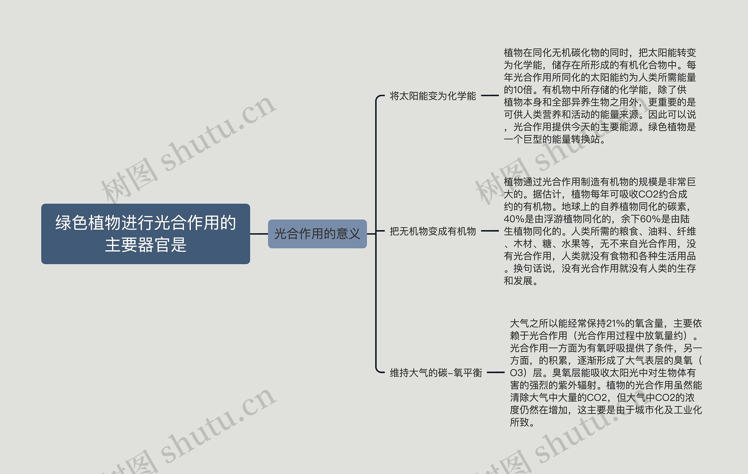 绿色植物进行光合作用的主要器官是思维导图