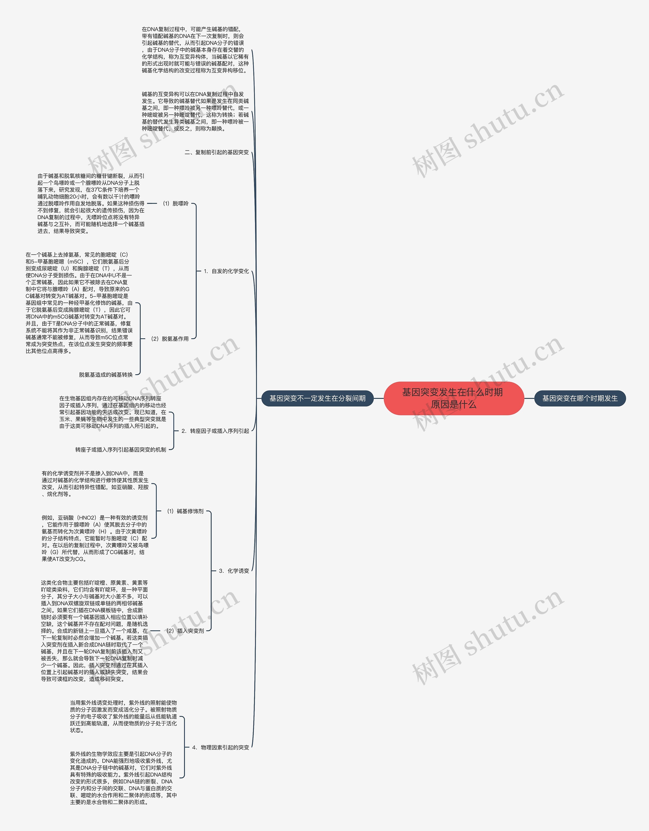 基因突变发生在什么时期 原因是什么思维导图