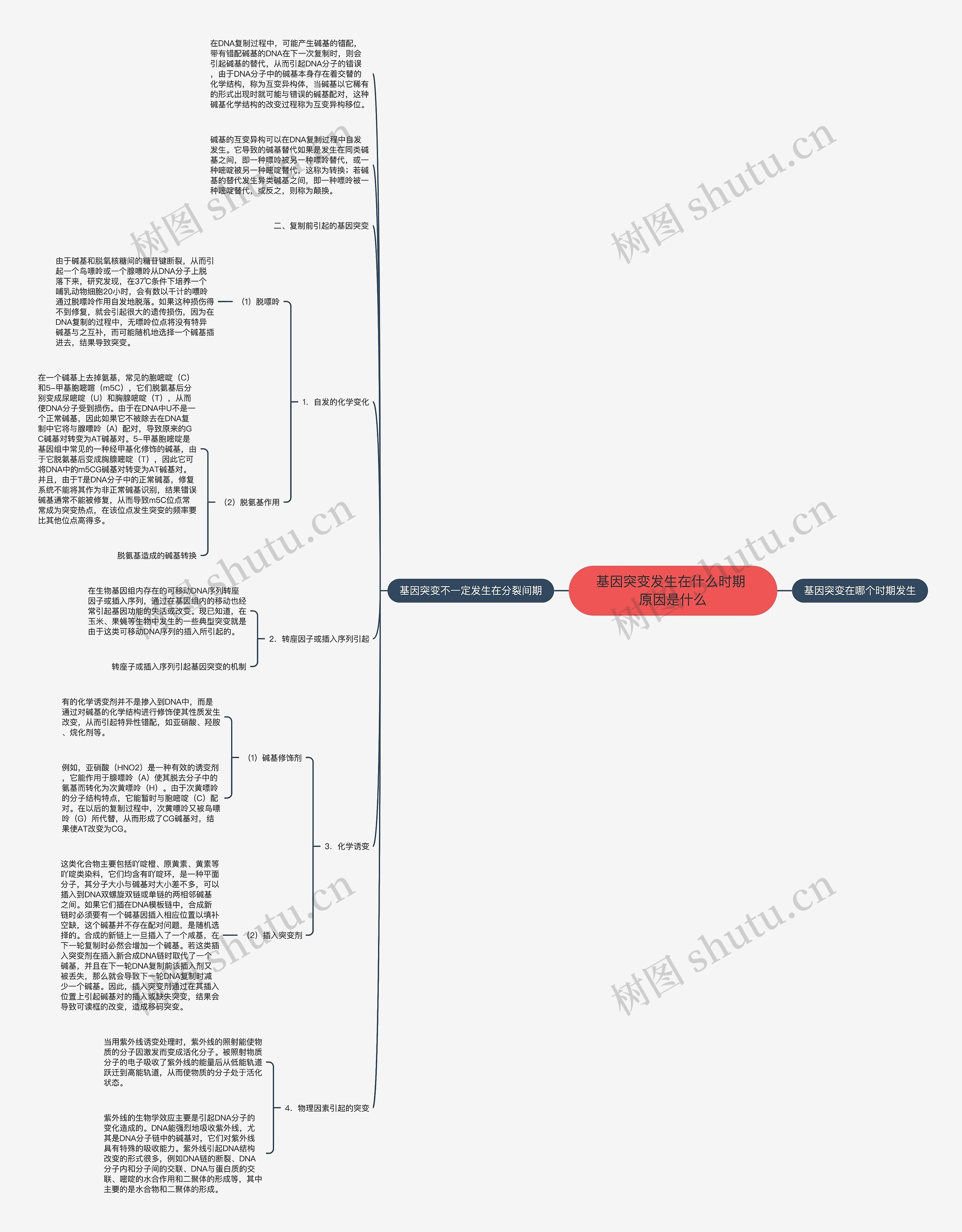 基因突变发生在什么时期 原因是什么思维导图高清图 基因突变发生在什么时期 原因是什么思维导图