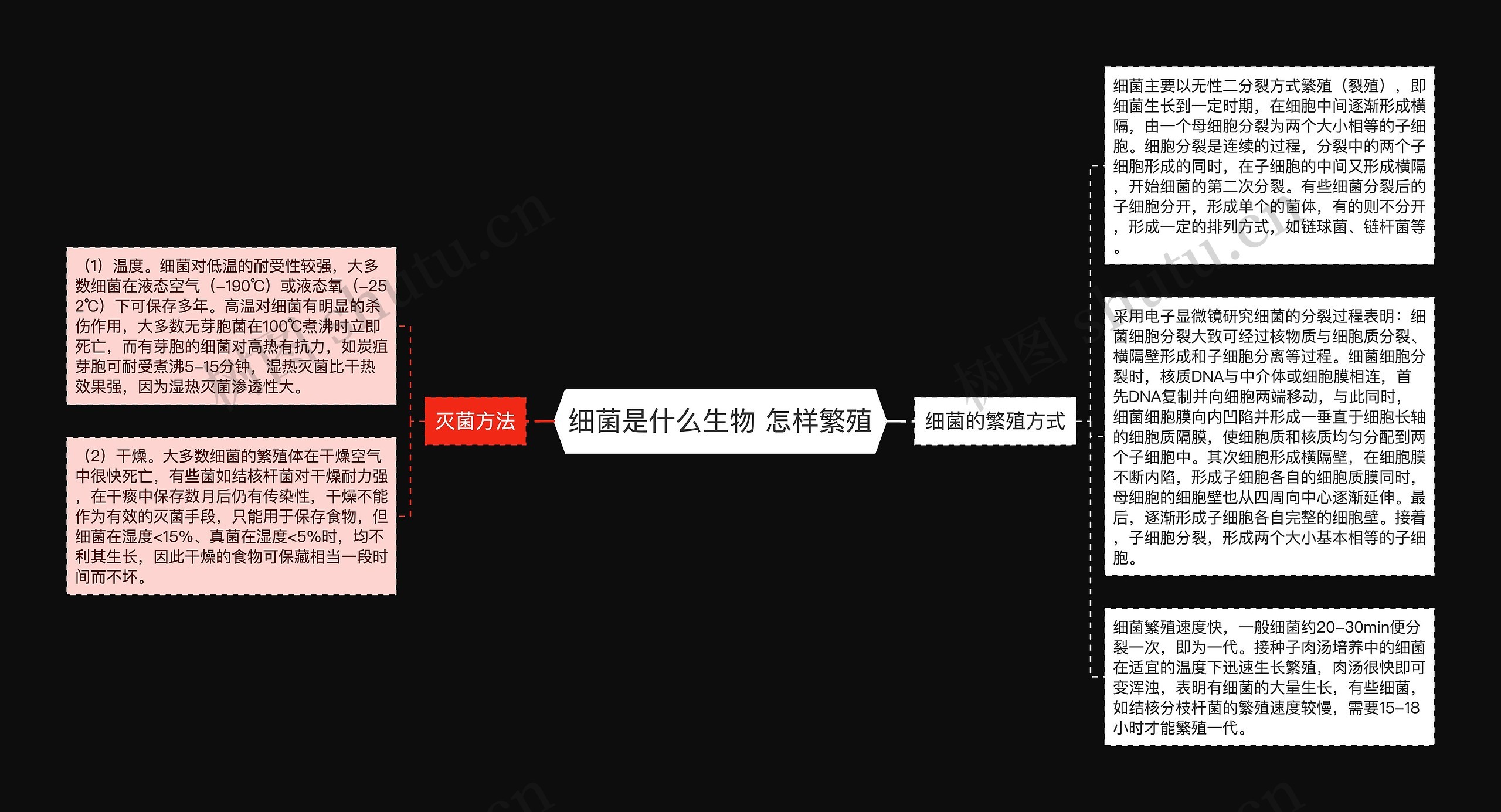 细菌是什么生物 怎样繁殖思维导图