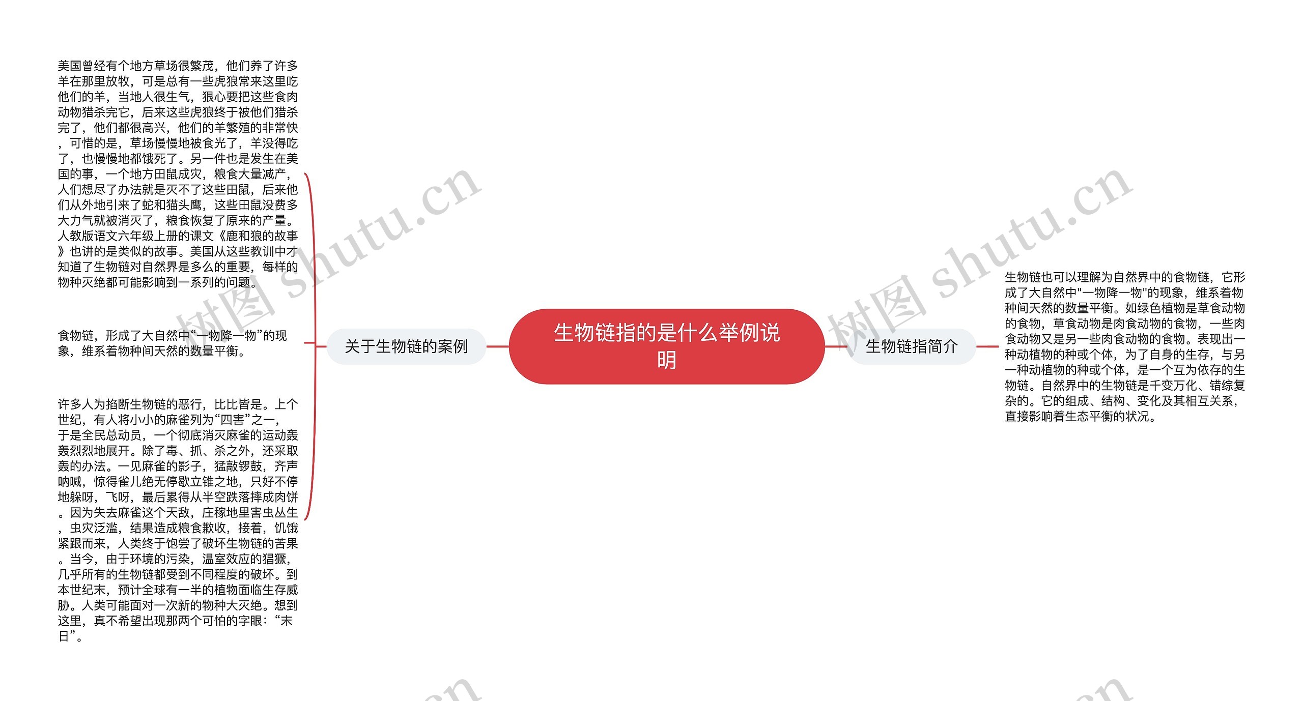 生物链指的是什么举例说明思维导图