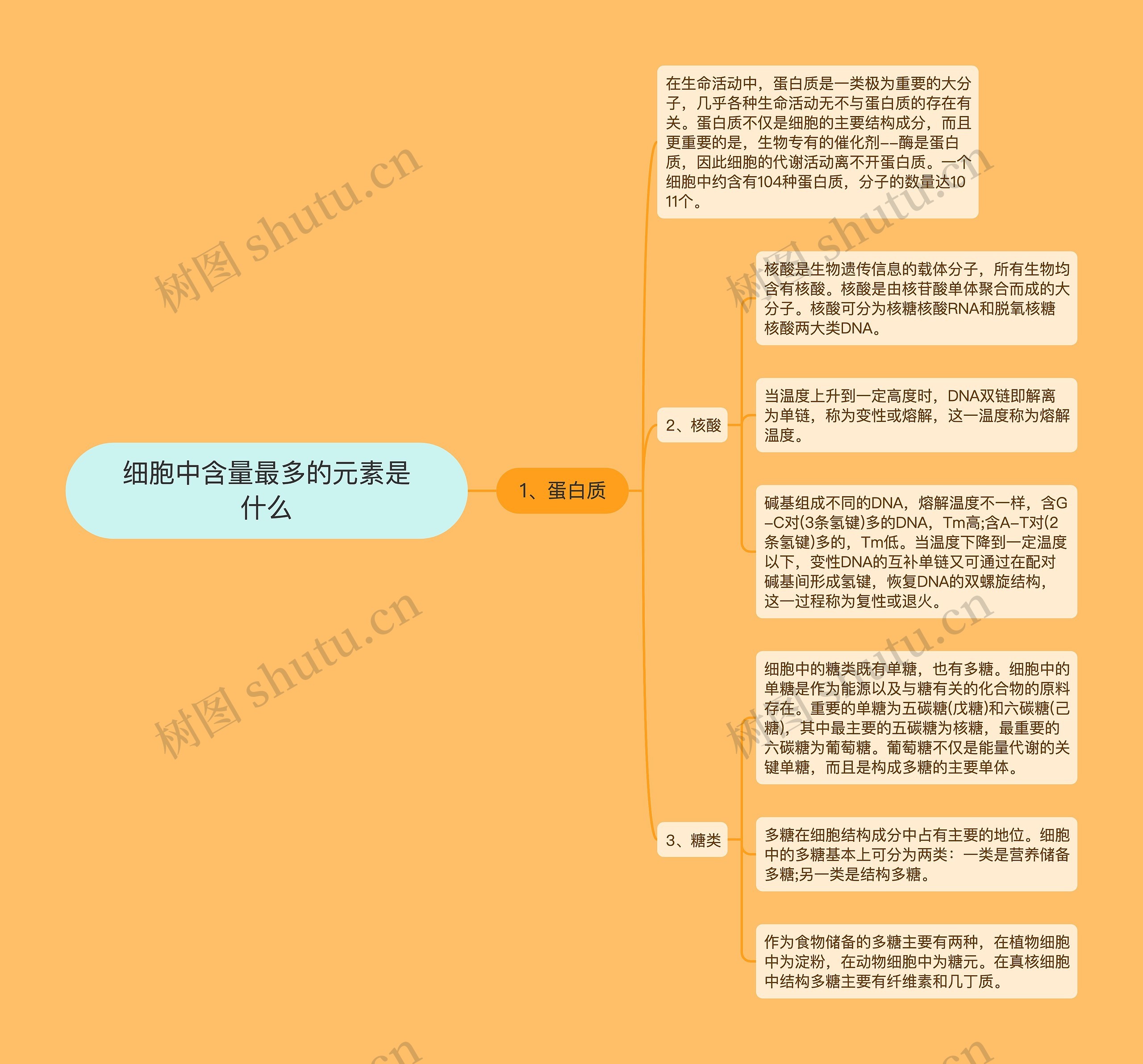 细胞中含量最多的元素是什么 细胞中含量最多的元素是什么
