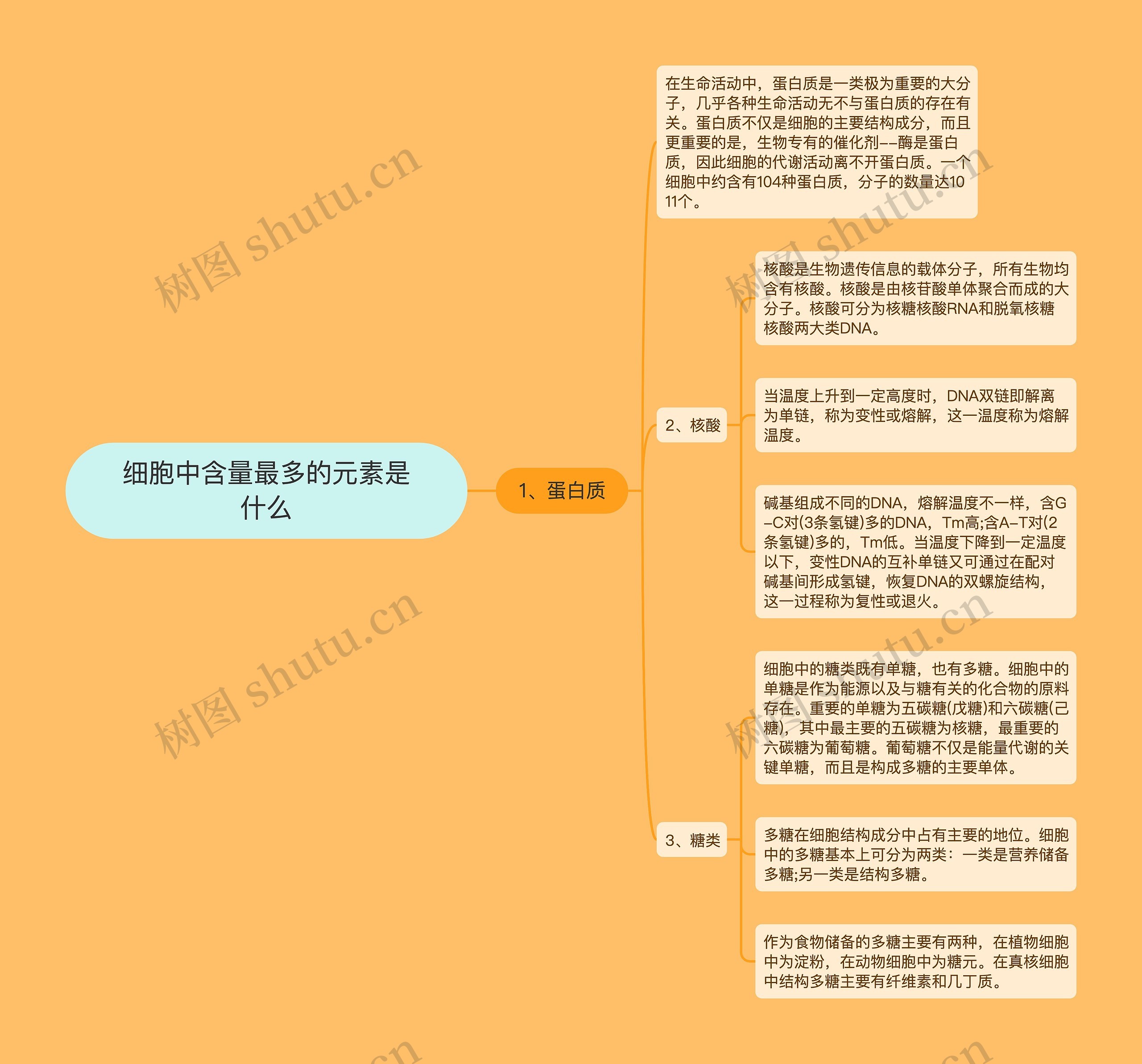 细胞中含量最多的元素是什么思维导图