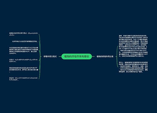 植物的呼吸作用有哪些