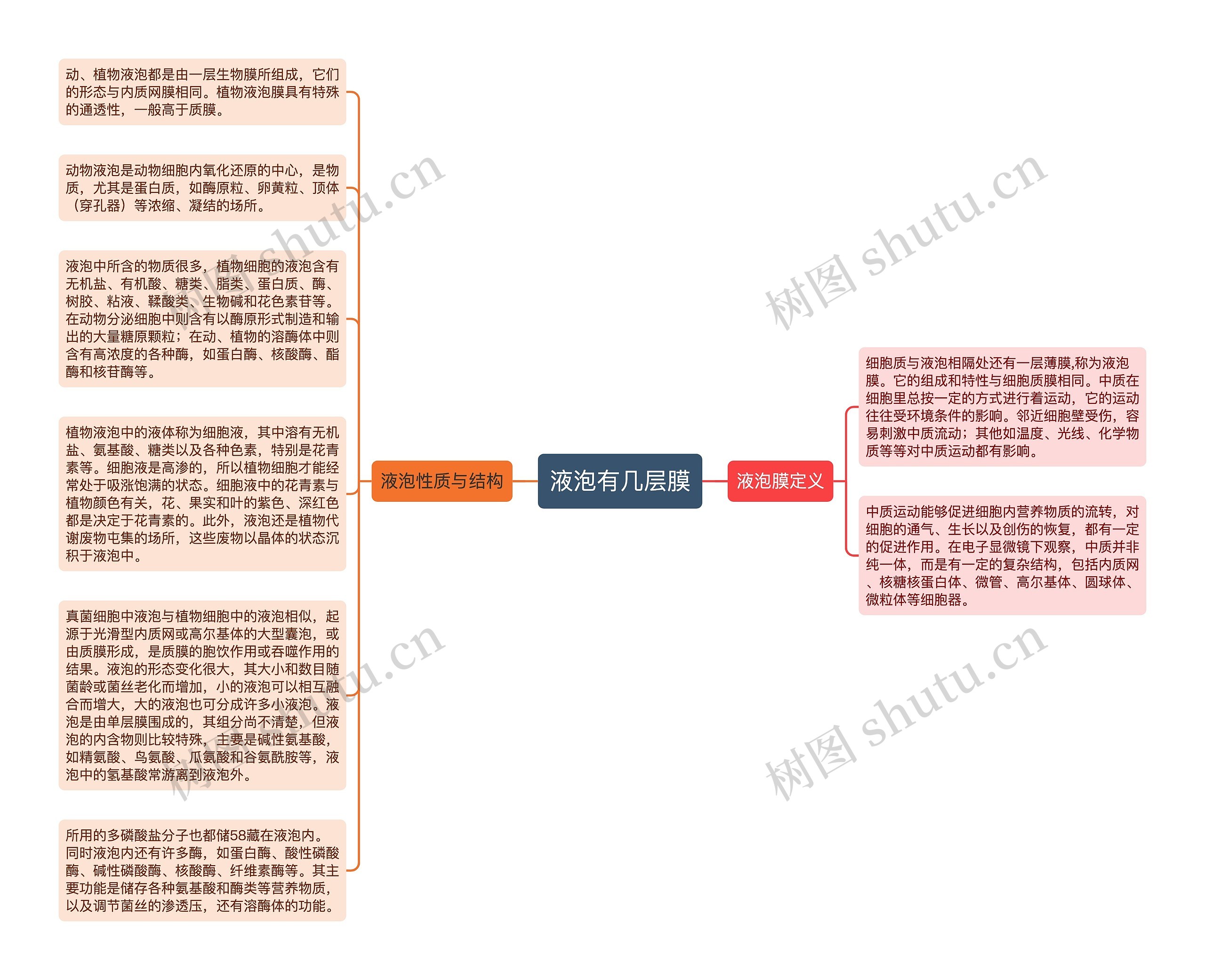 液泡有几层膜思维导图