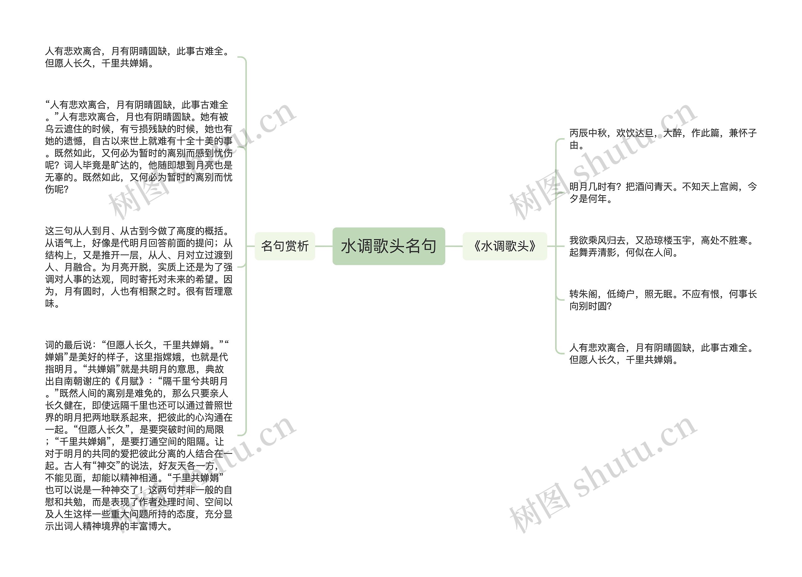 水调歌头名句