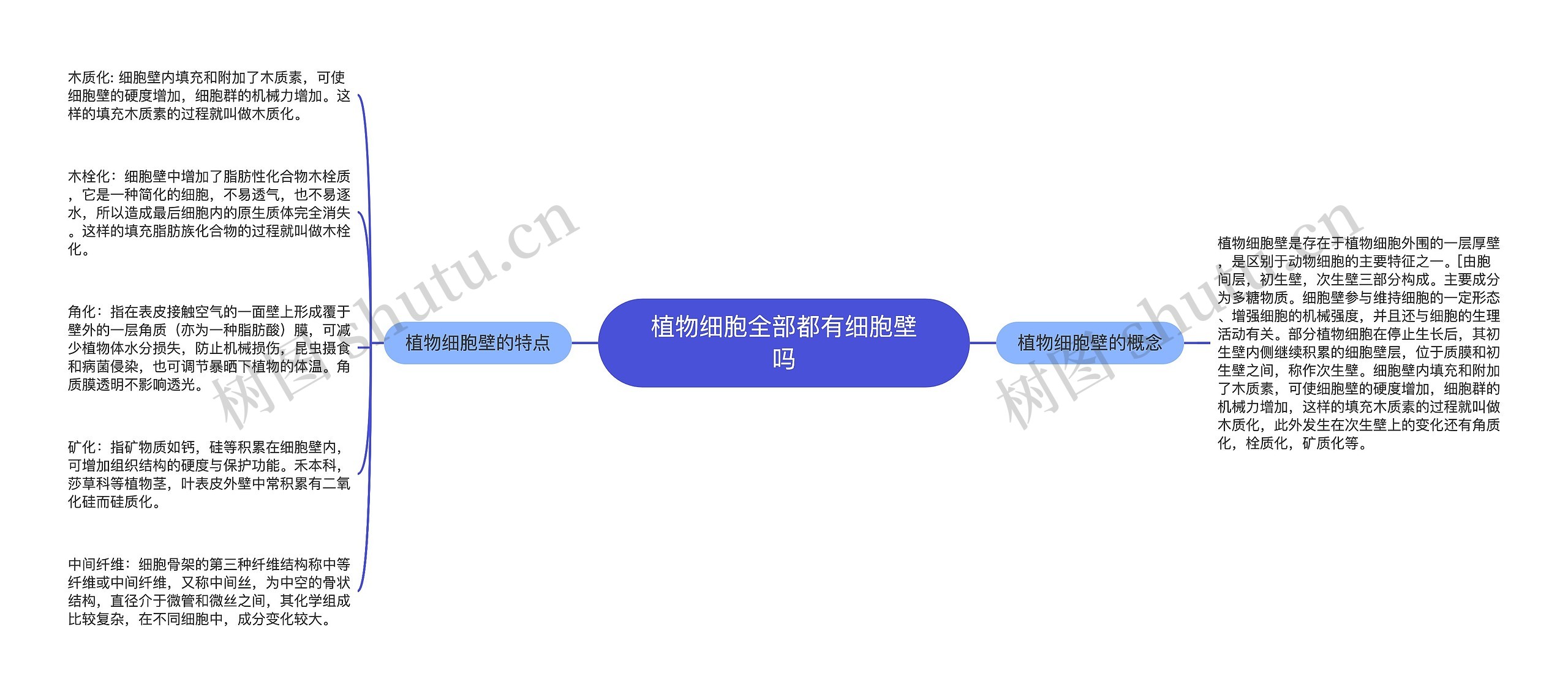 植物细胞全部都有细胞壁吗