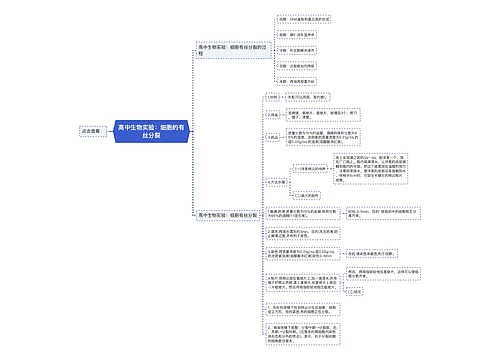 高中生物实验：细胞的有丝分裂