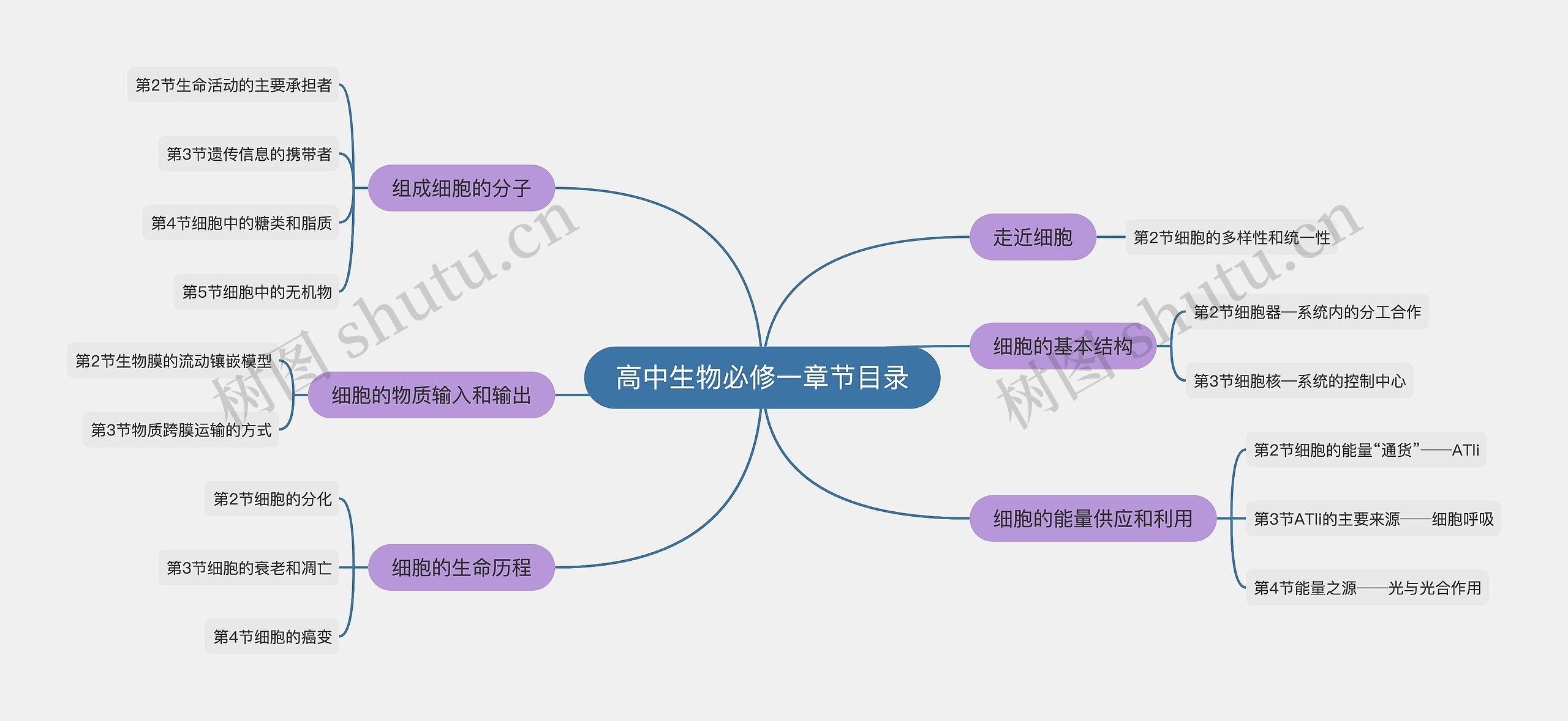 高中生物必修一章节目录思维导图