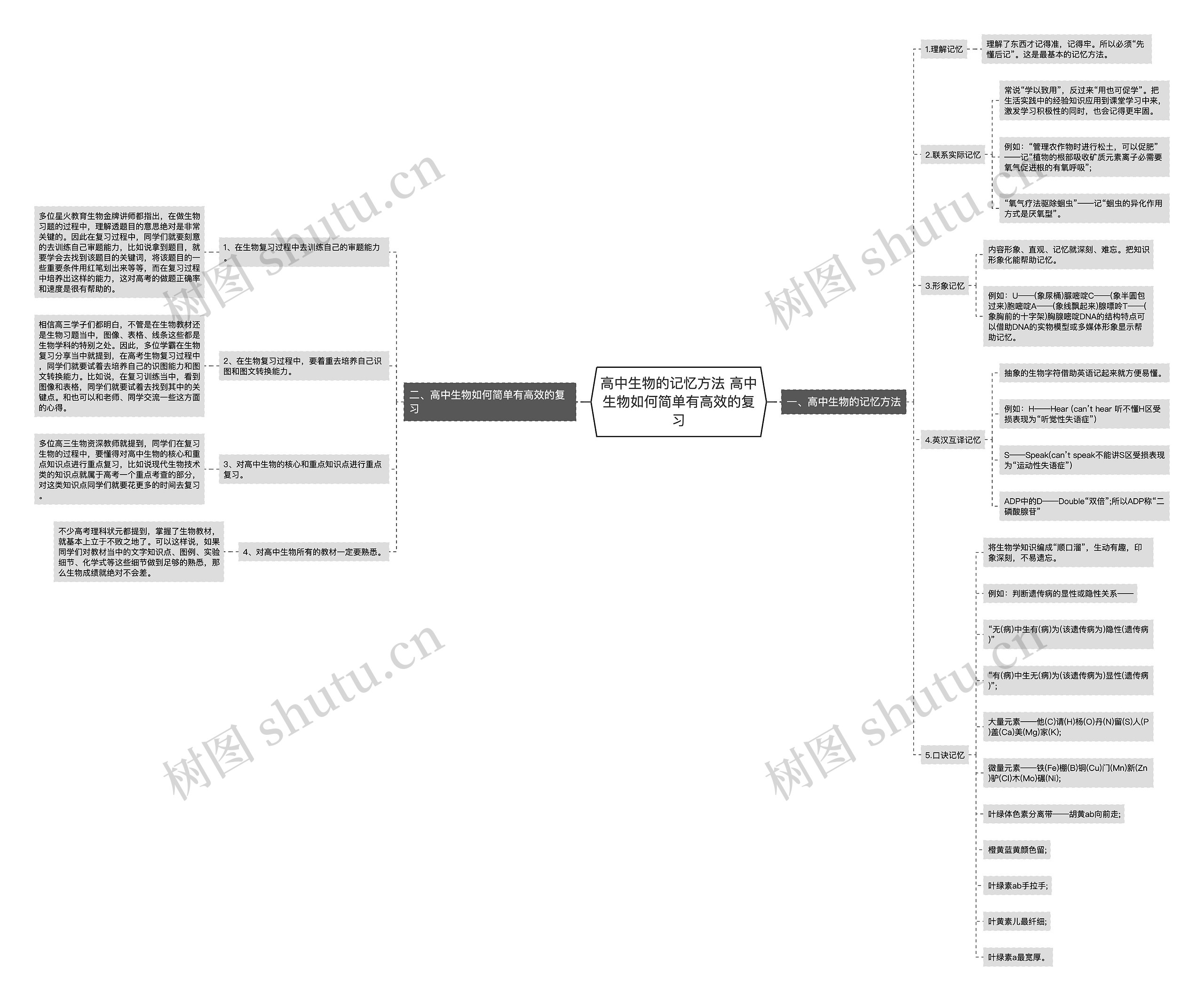 高中生物的记忆方法 高中生物如何简单有高效的复习思维导图