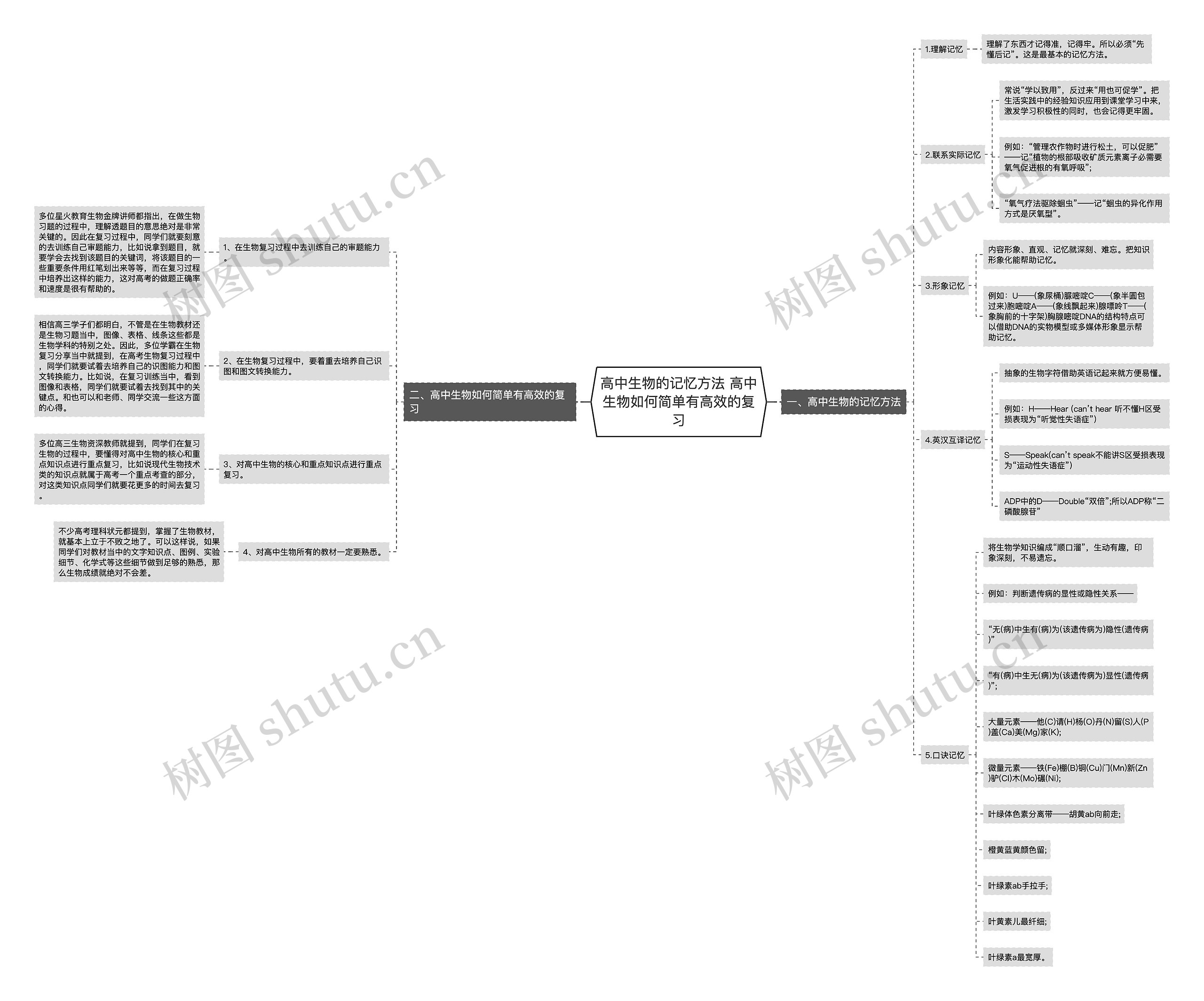 高中生物的记忆方法 高中生物如何简单有高效的复习思维导图高清图 高中生物的记忆方法 高中生物如何简单有高效的复习思维导图