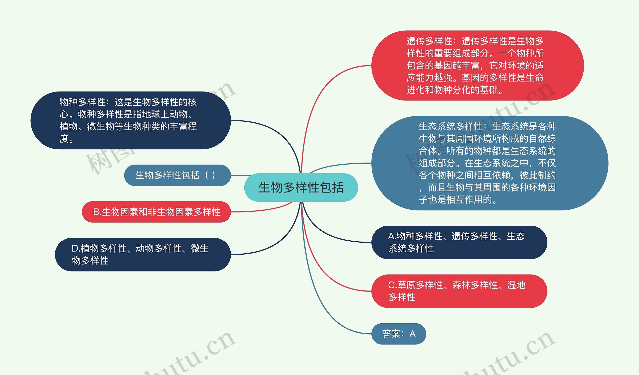 生物多样性包括思维导图