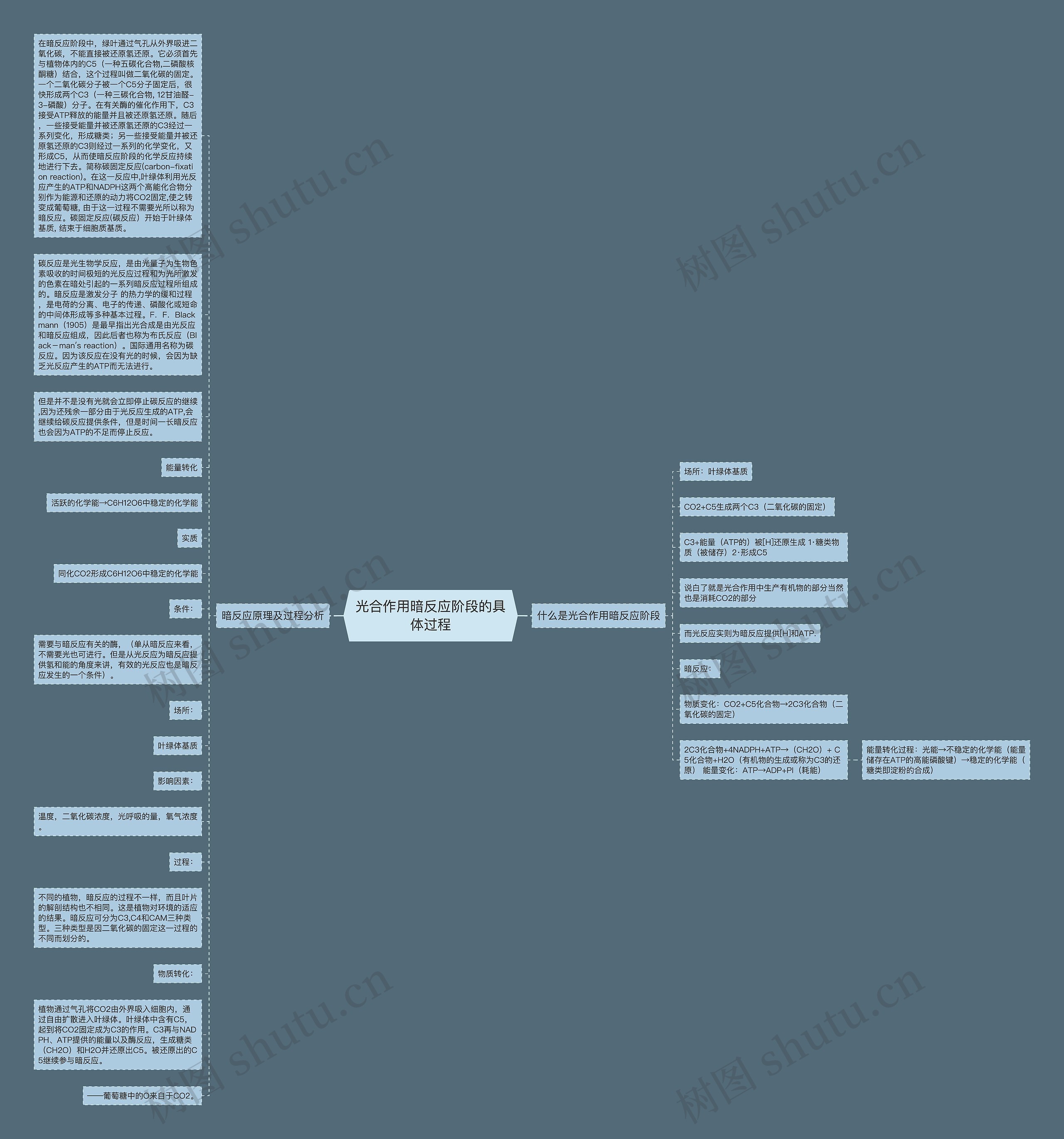 光合作用暗反应阶段的具体过程思维导图