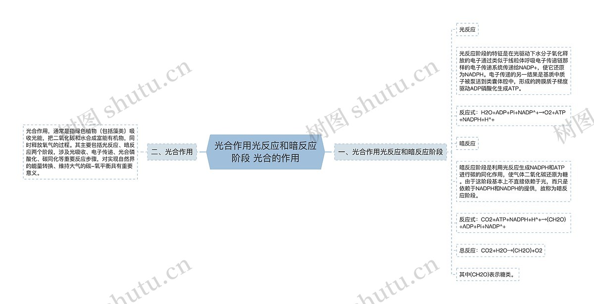 光合作用光反应和暗反应阶段 光合的作用思维导图_编号p3659428-TreeMind树图