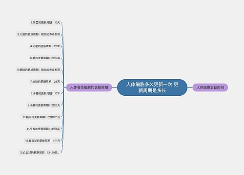 人体细胞多久更新一次 更新周期是多长